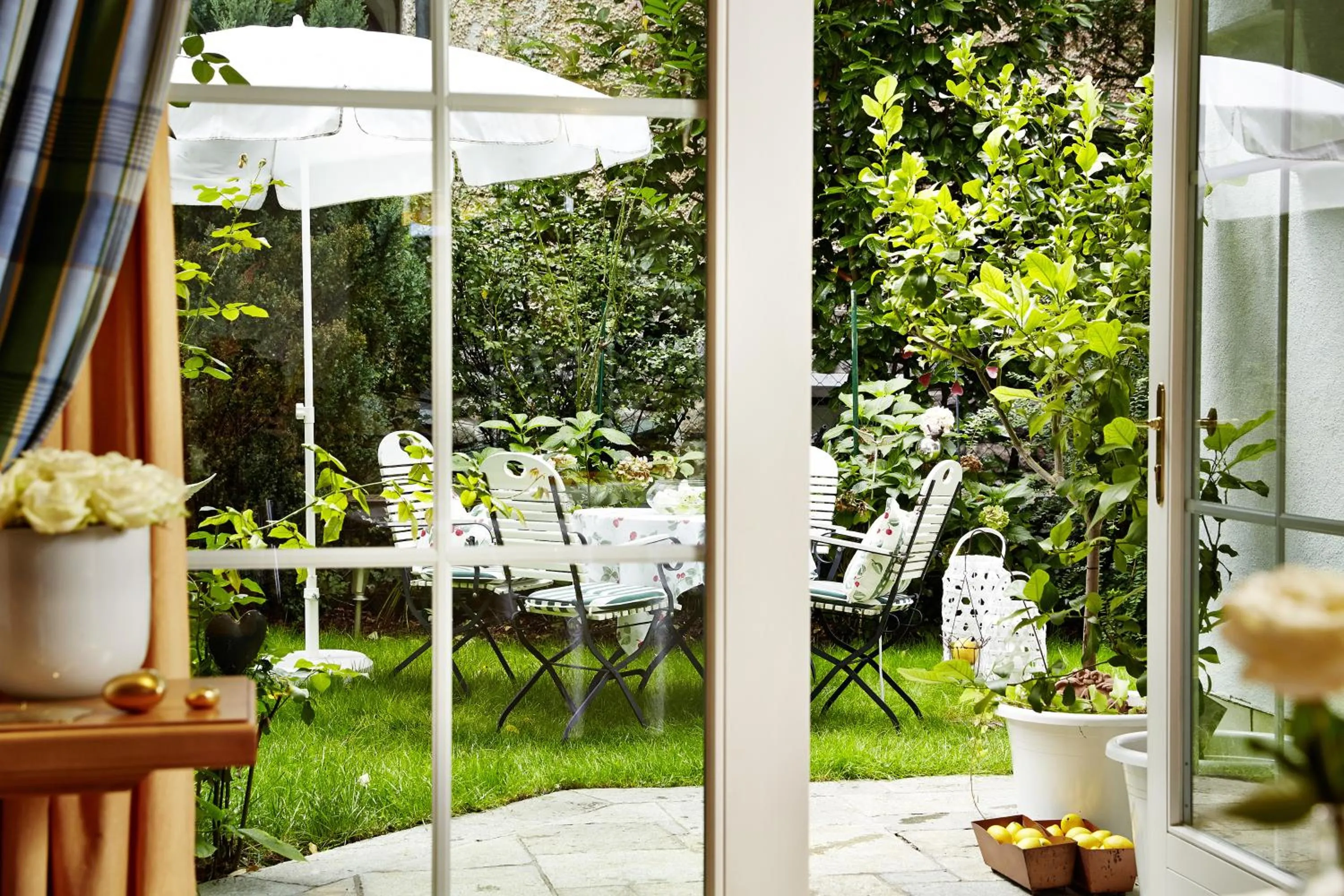 Garden in Villa Angela