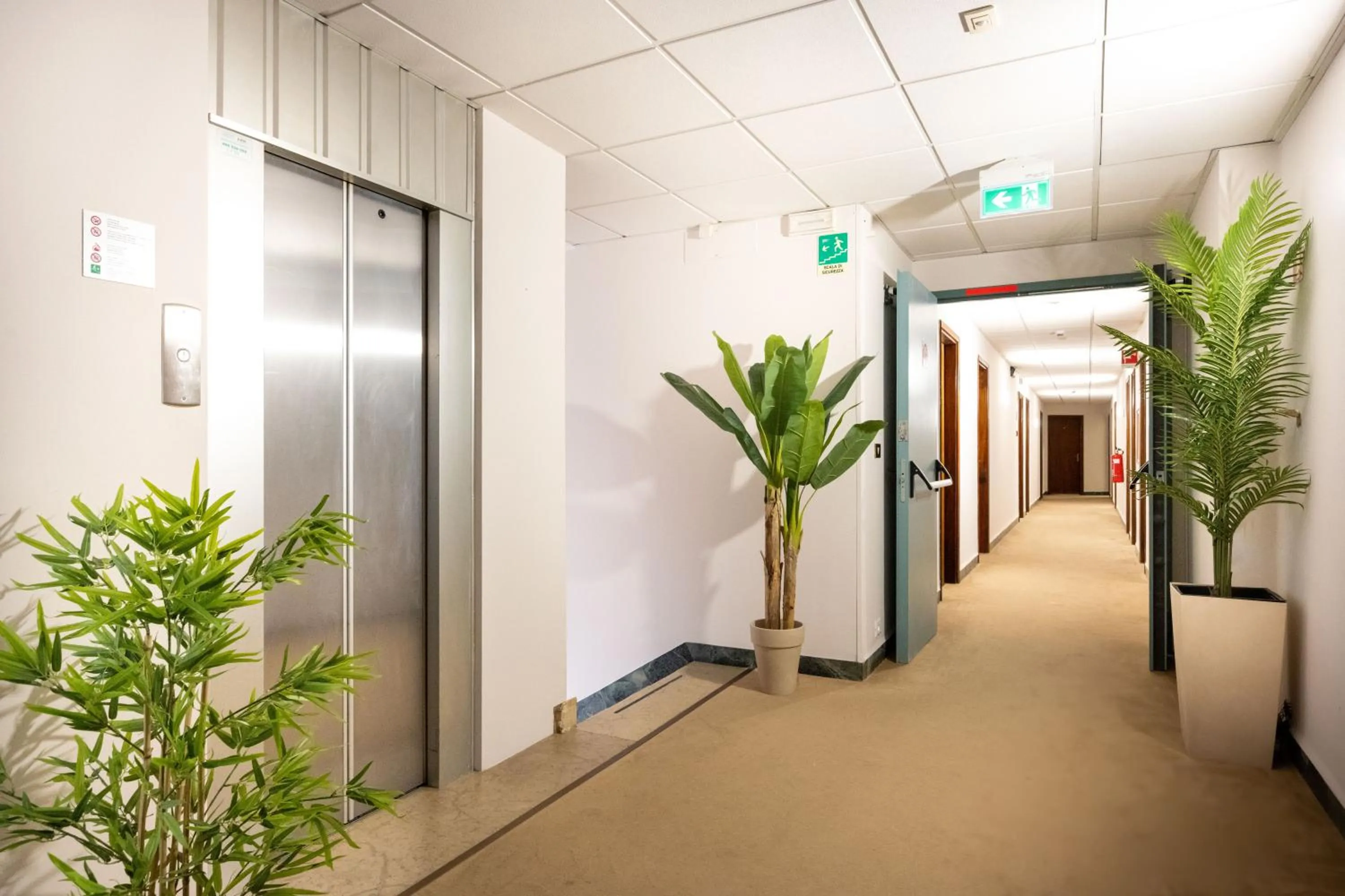 Lobby or reception in Camelia Rooms Venice Guesthouse