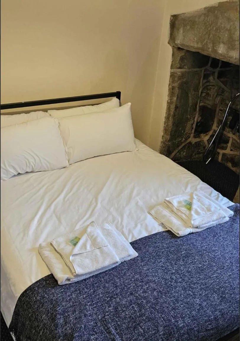 Bed in Plas Bellin Hall