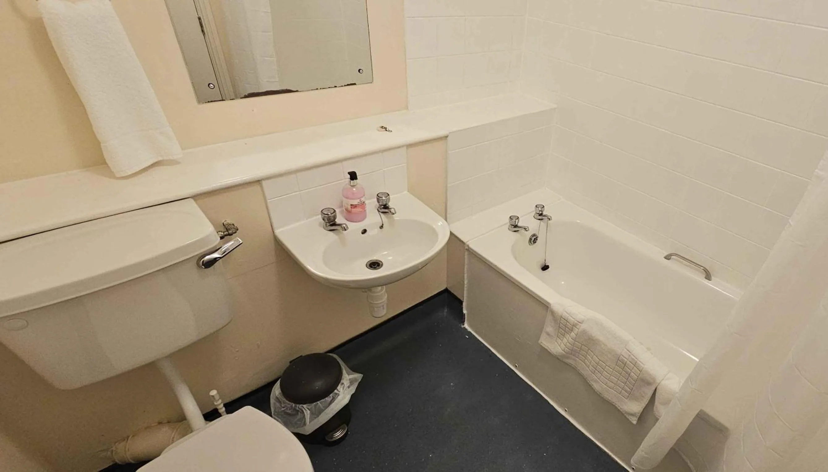 Toilet in Plas Bellin Hall