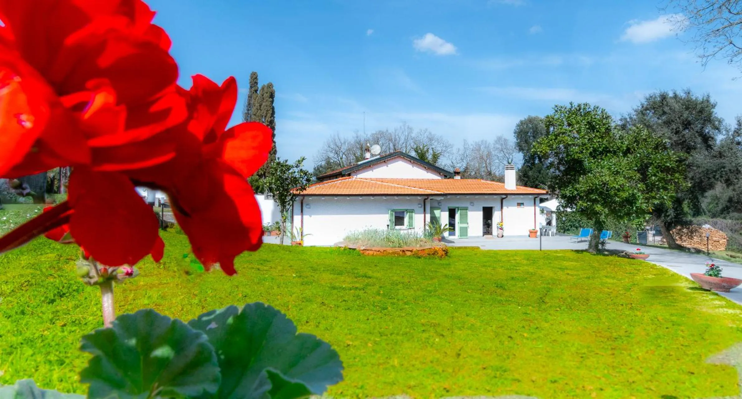 Property building in Green Woody Home