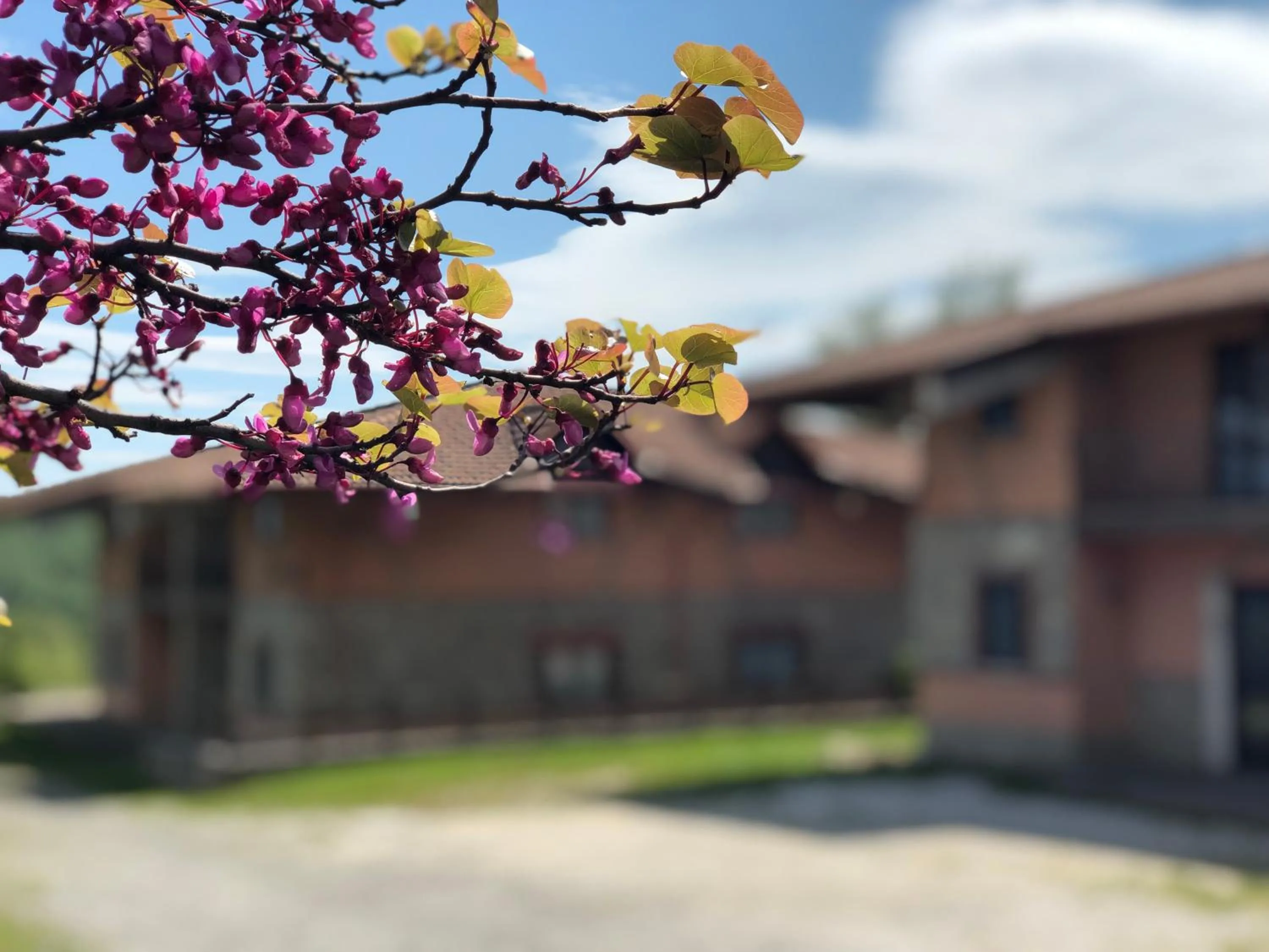 Property building in Hotel Pietrapanna