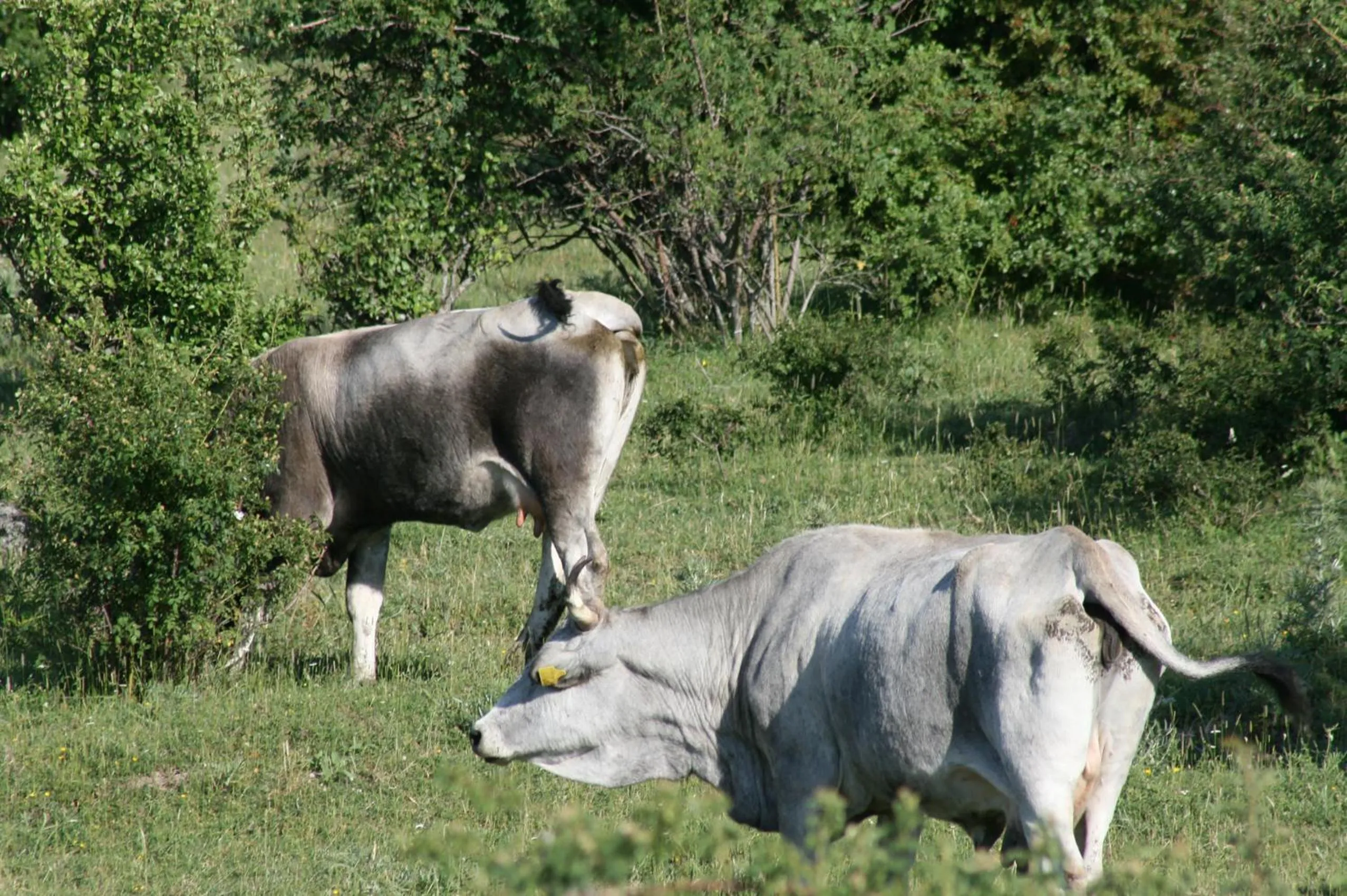 Other in Hotel Pietrapanna