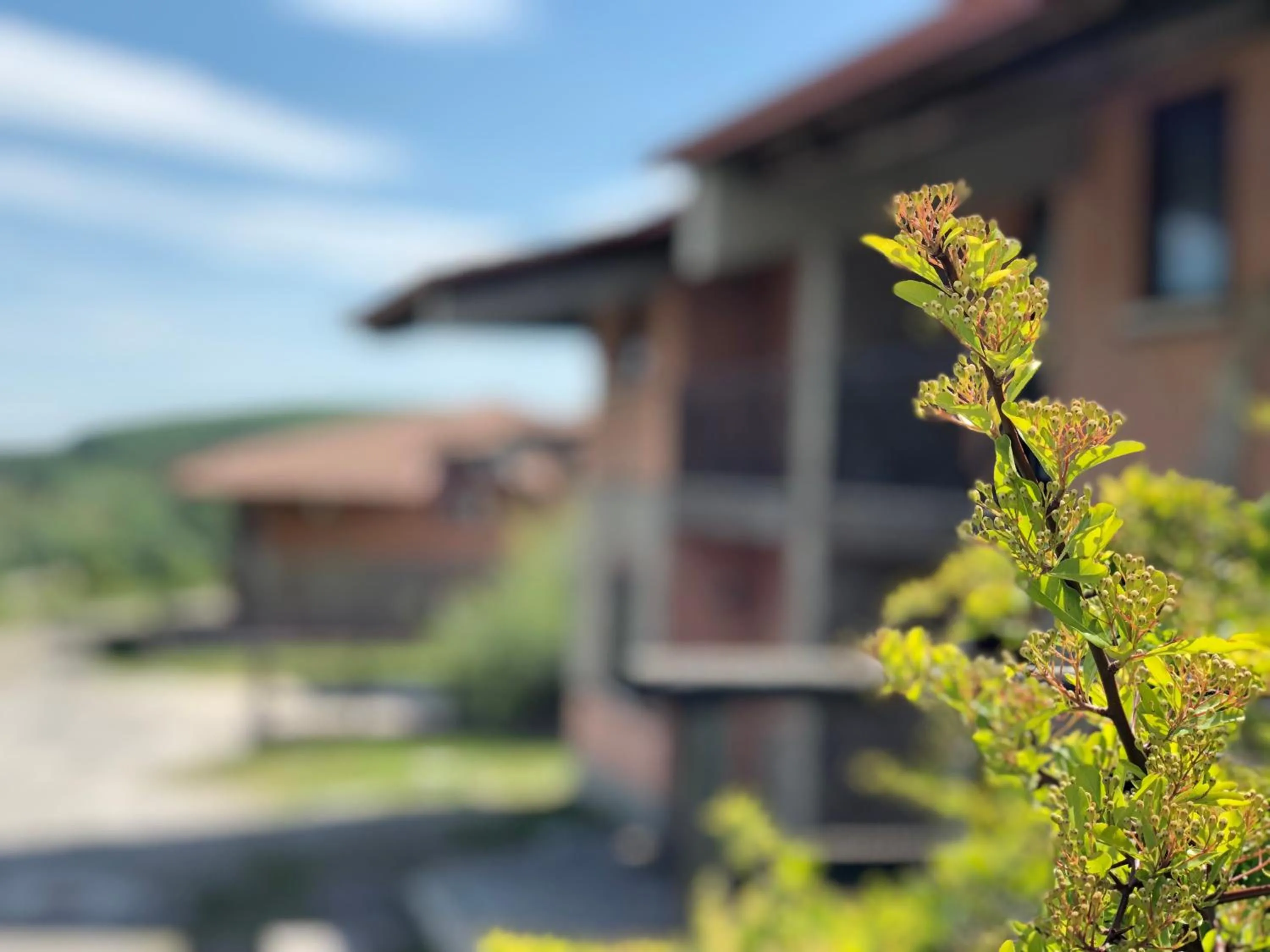 Natural landscape in Hotel Pietrapanna