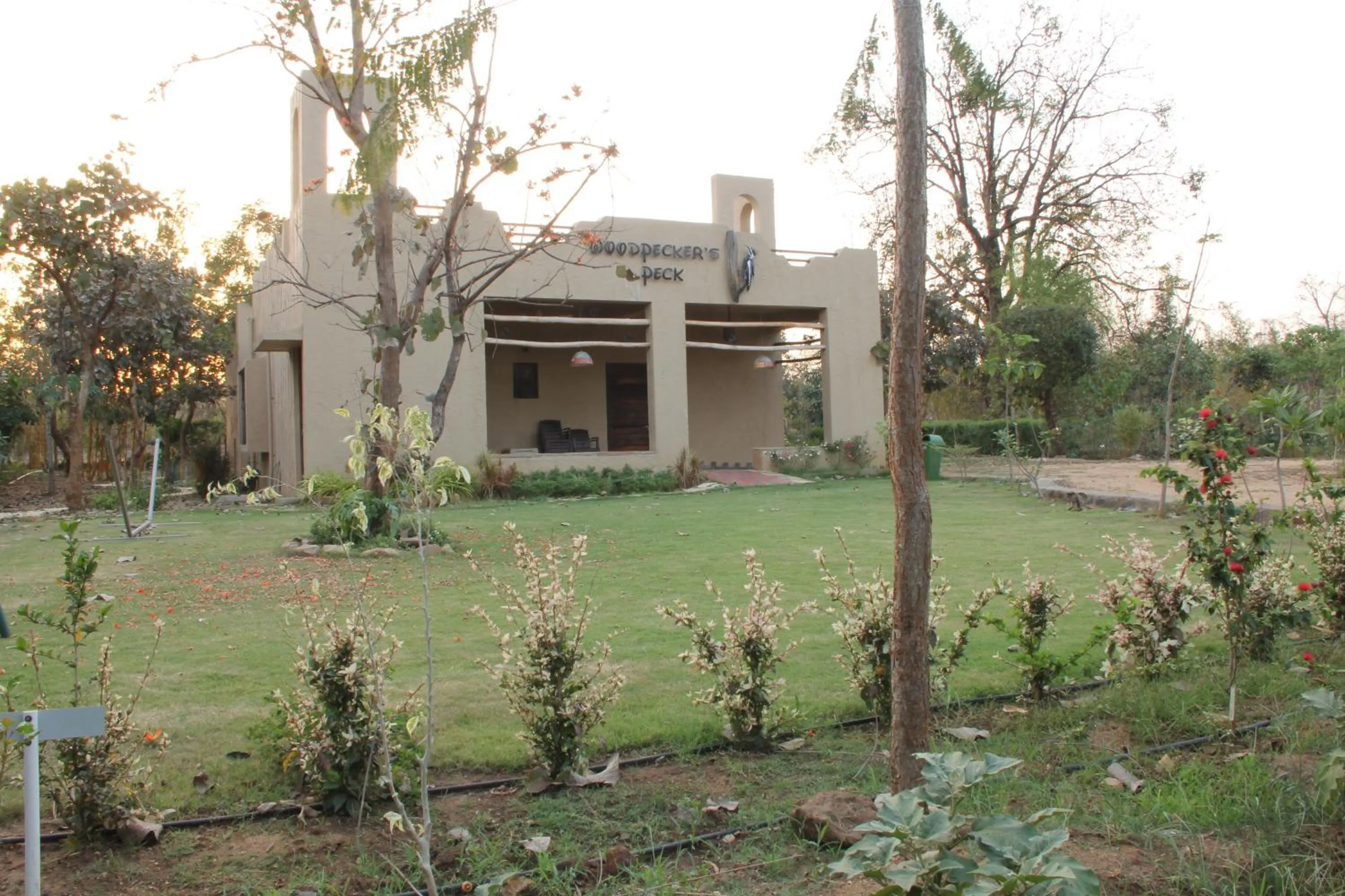 Garden in Tathastu Pench