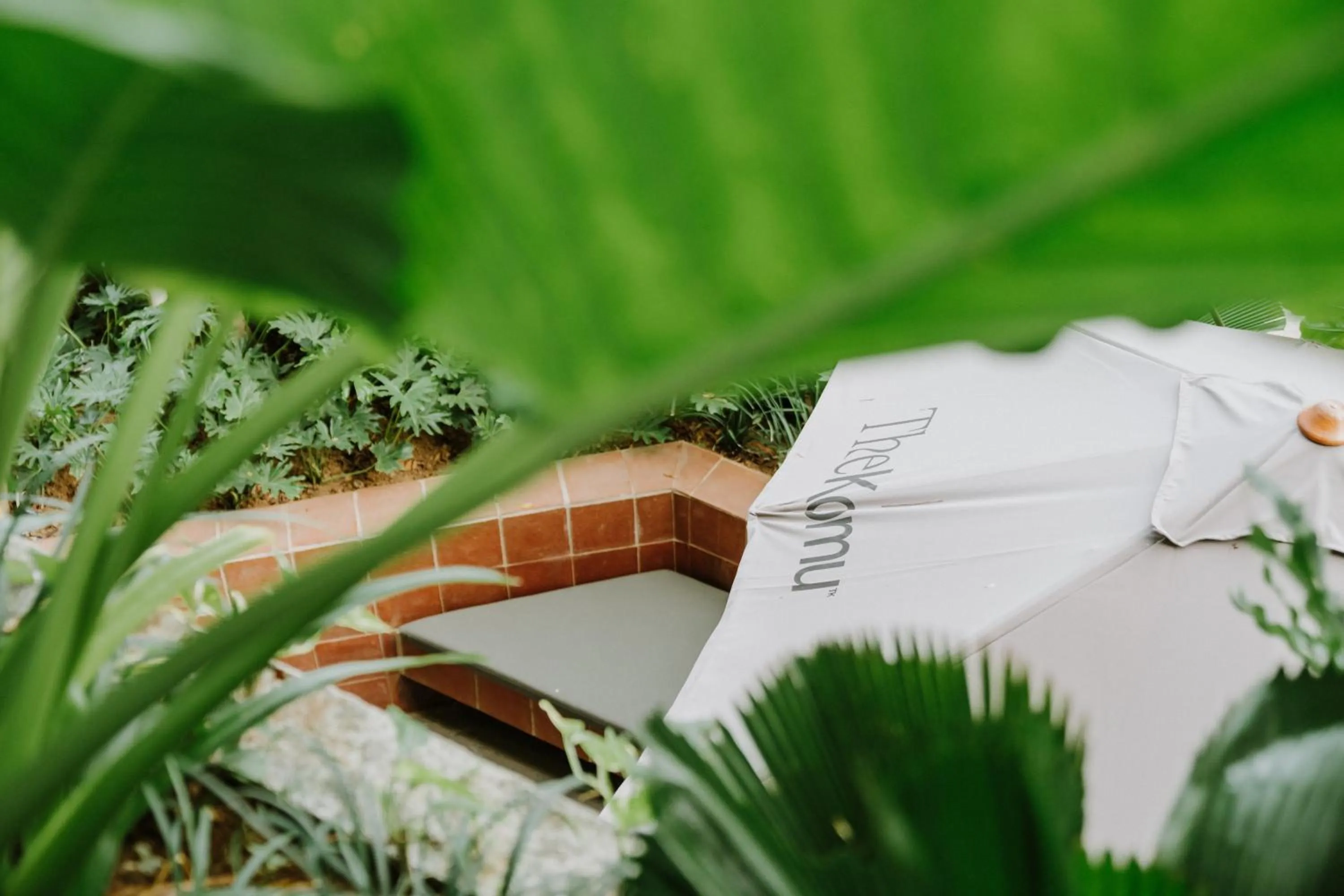 Day in The Komu Canggu Bali