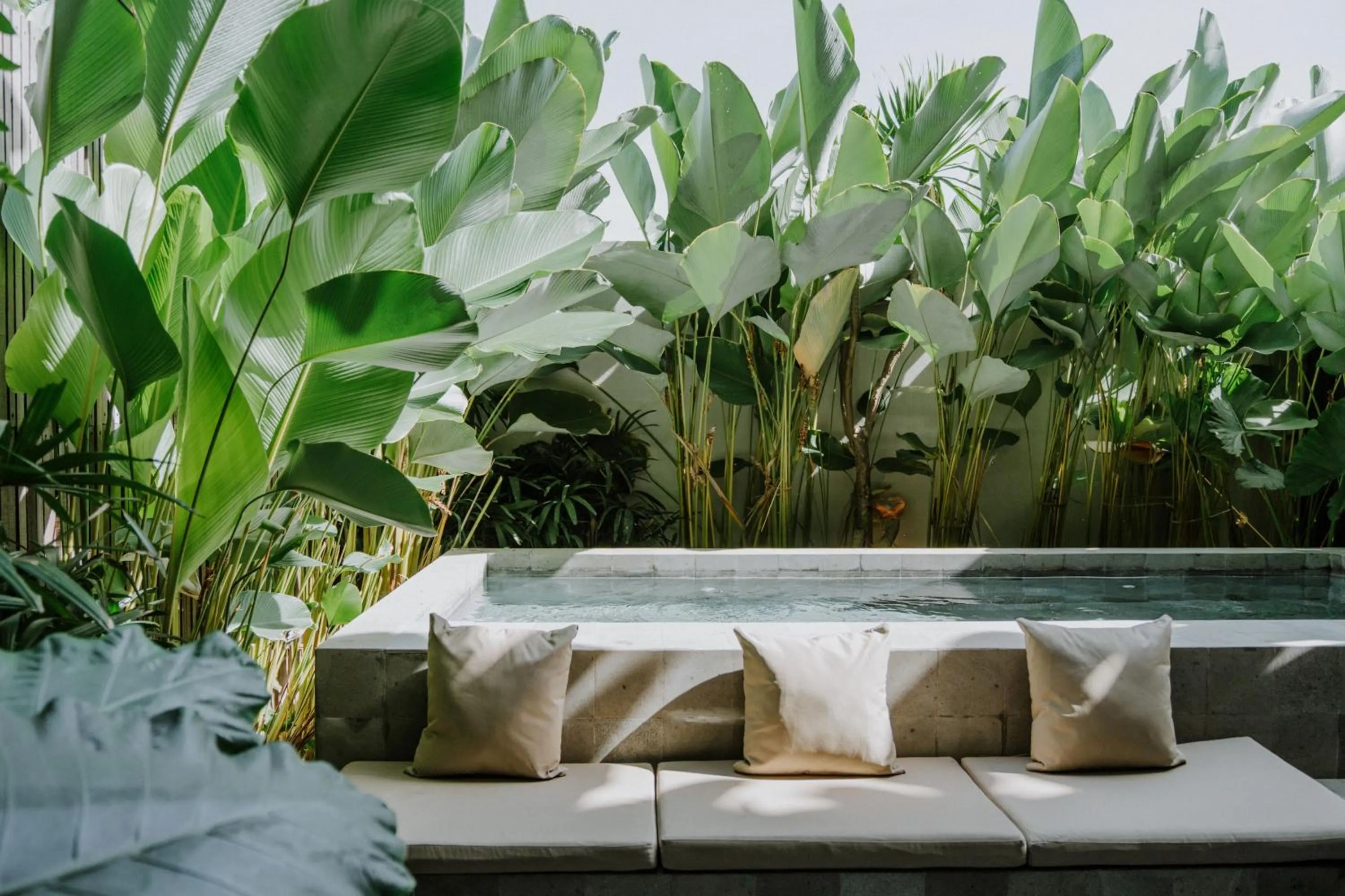 Pool view in The Komu Canggu Bali