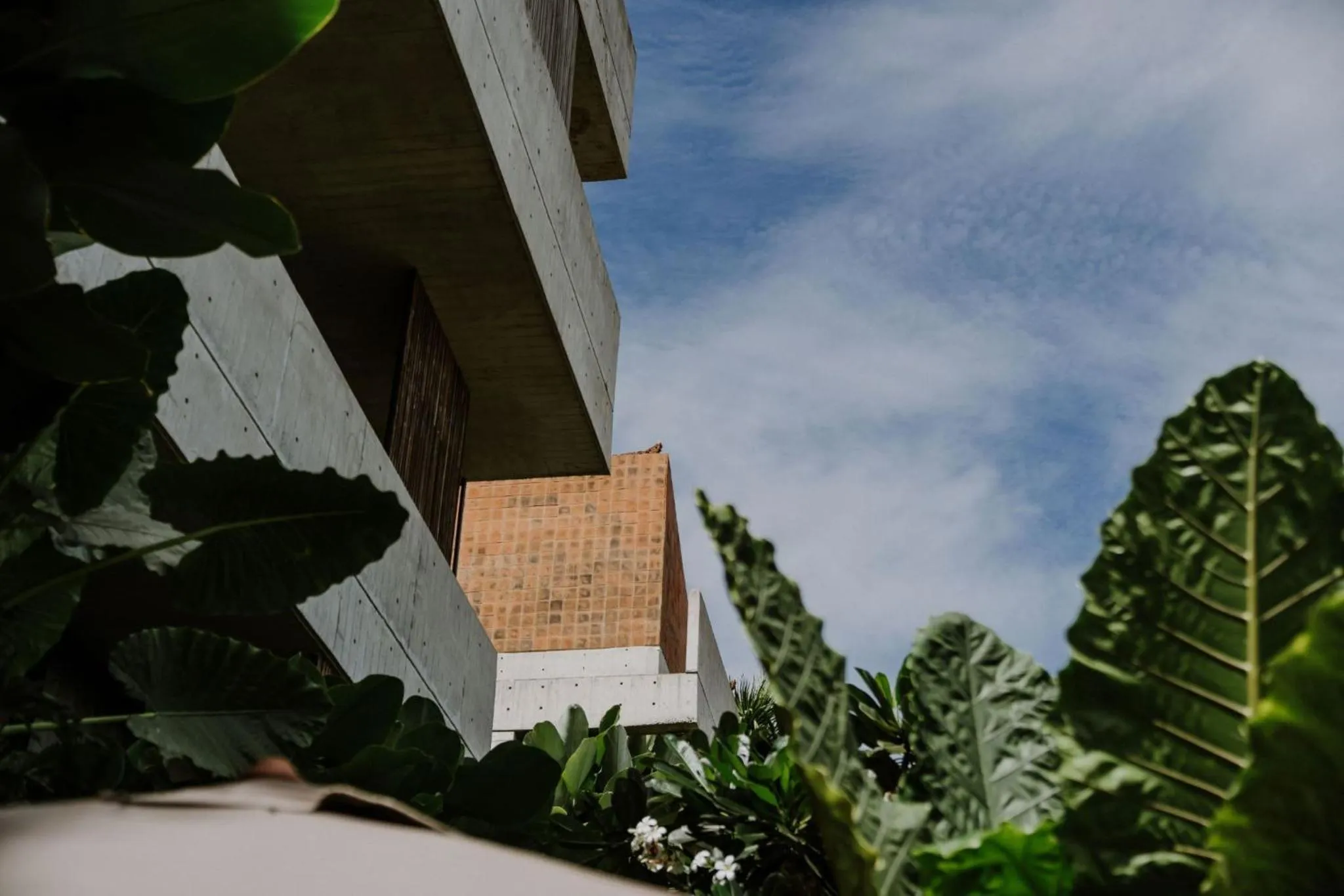 Property building in The Komu Canggu Bali