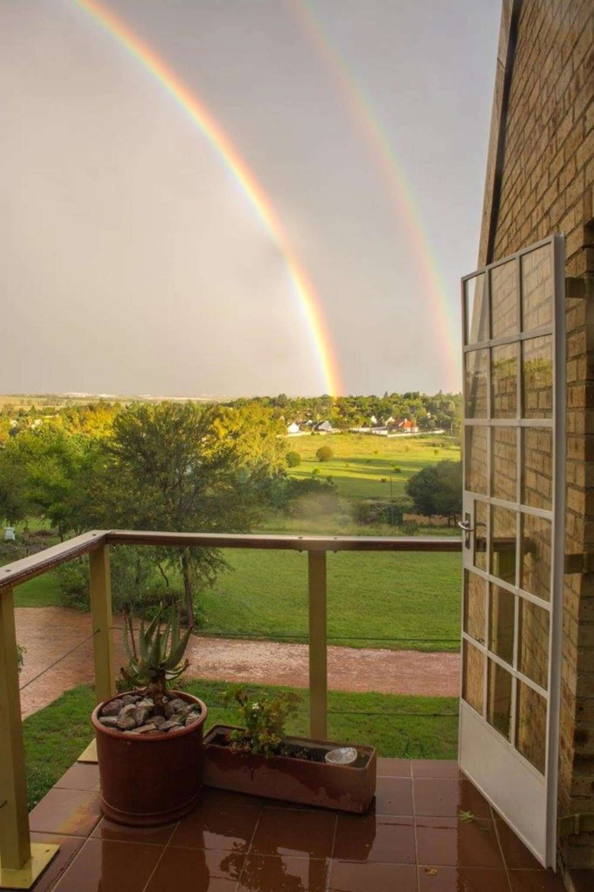 Garden in Emzini Apartments