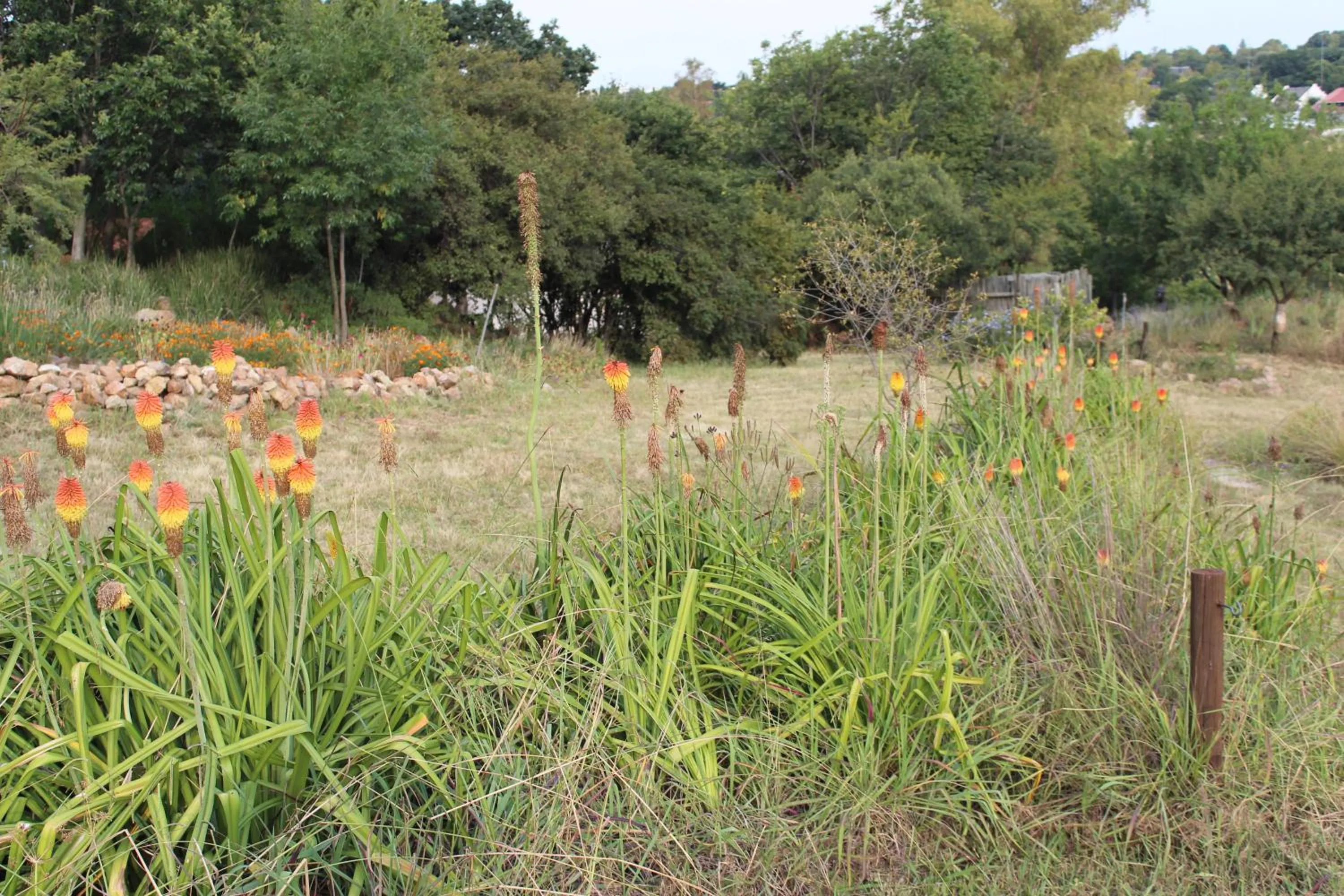 Other in Emzini Apartments