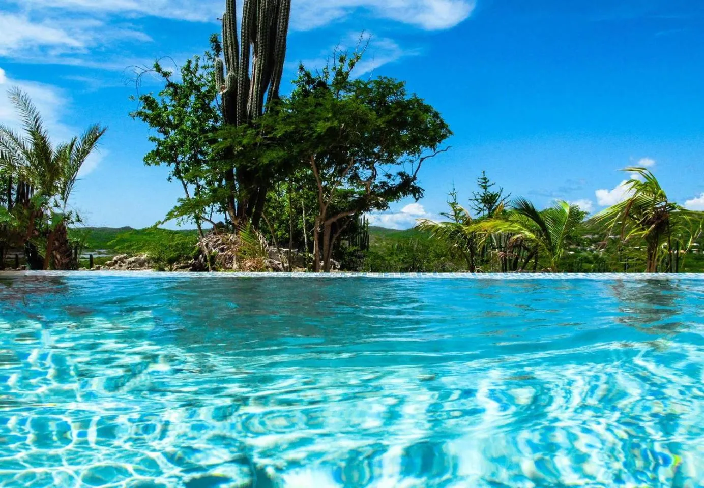 Garden in Landhuis Klein Santa Martha Boutique Hotel Restaurant.