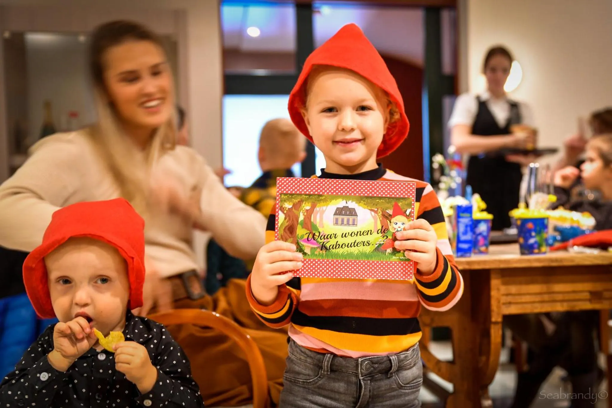 Children play ground in Heerlickheijd van Ermelo