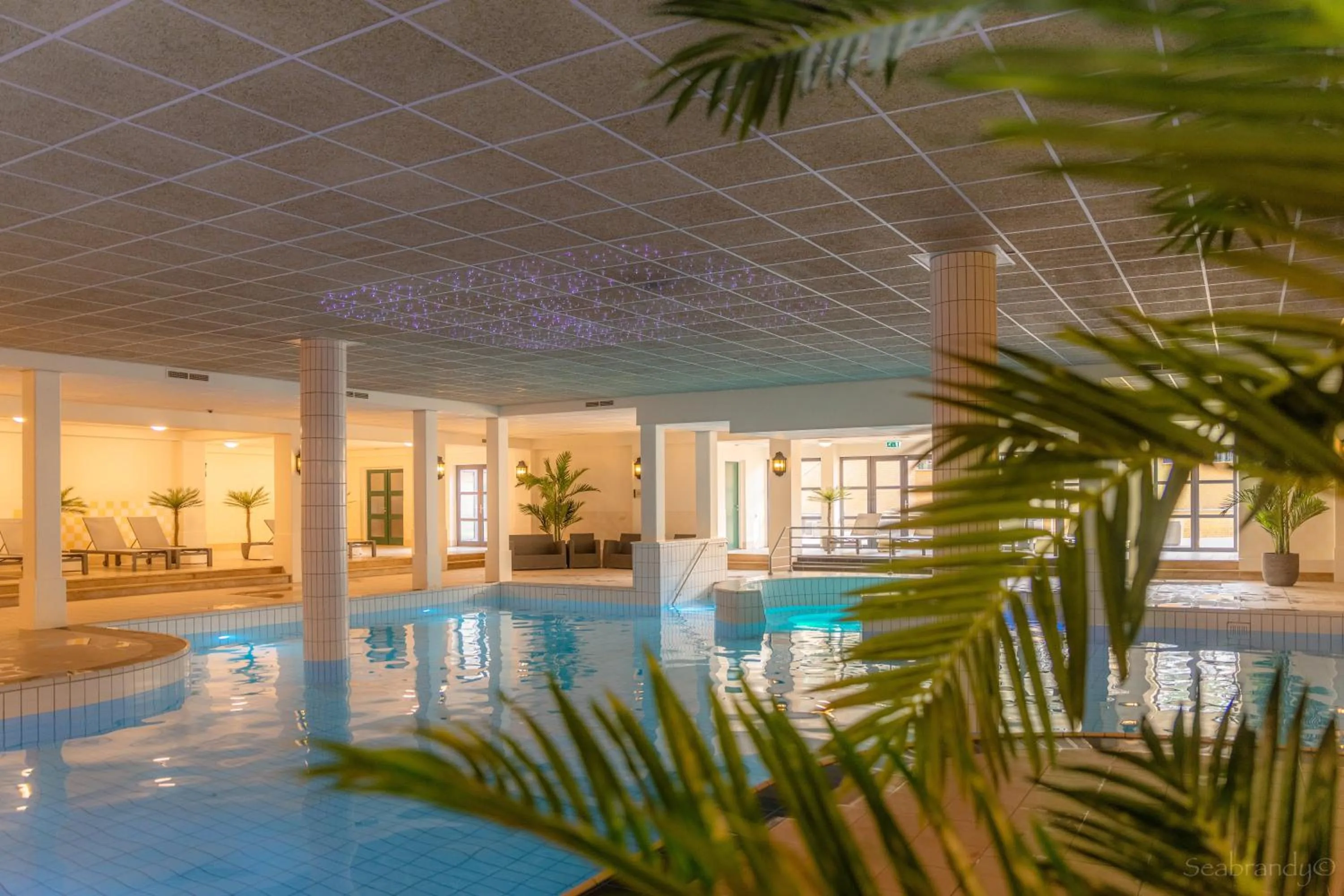 Swimming pool in Heerlickheijd van Ermelo