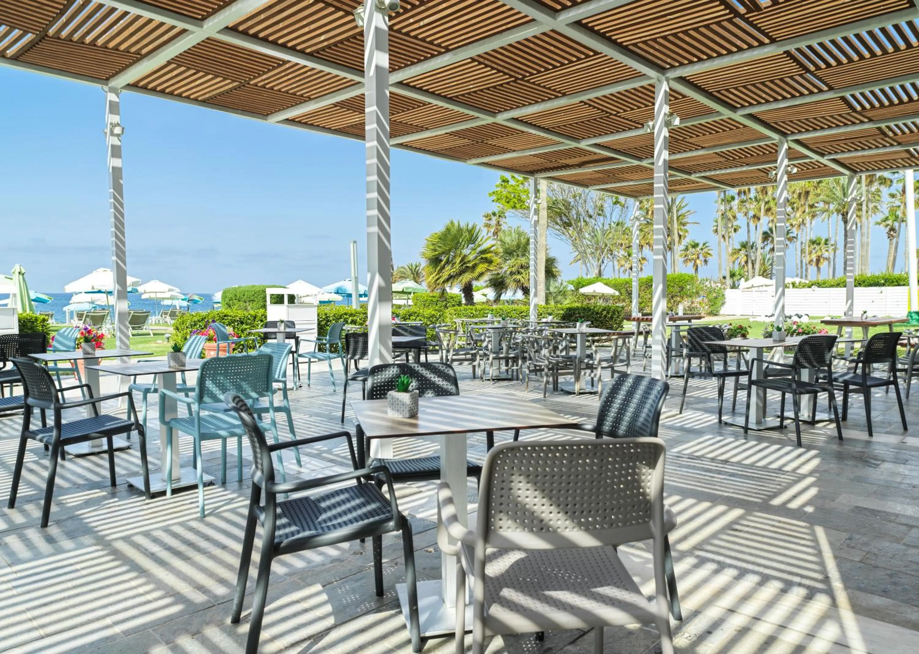 Restaurant/places to eat in Leonardo Cypria Bay