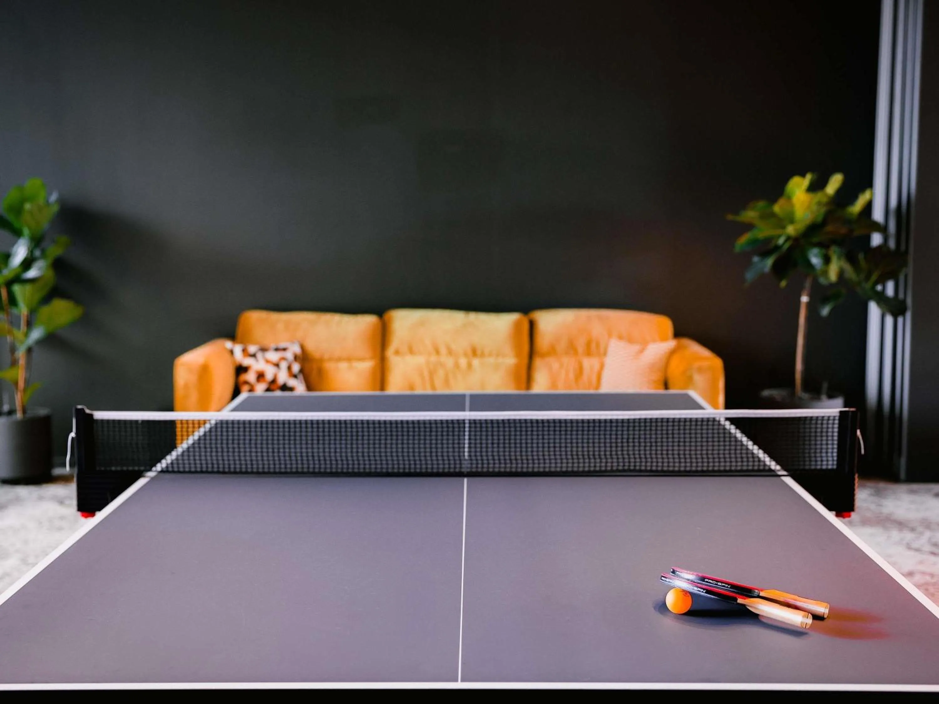 Other in Pullman Lyon