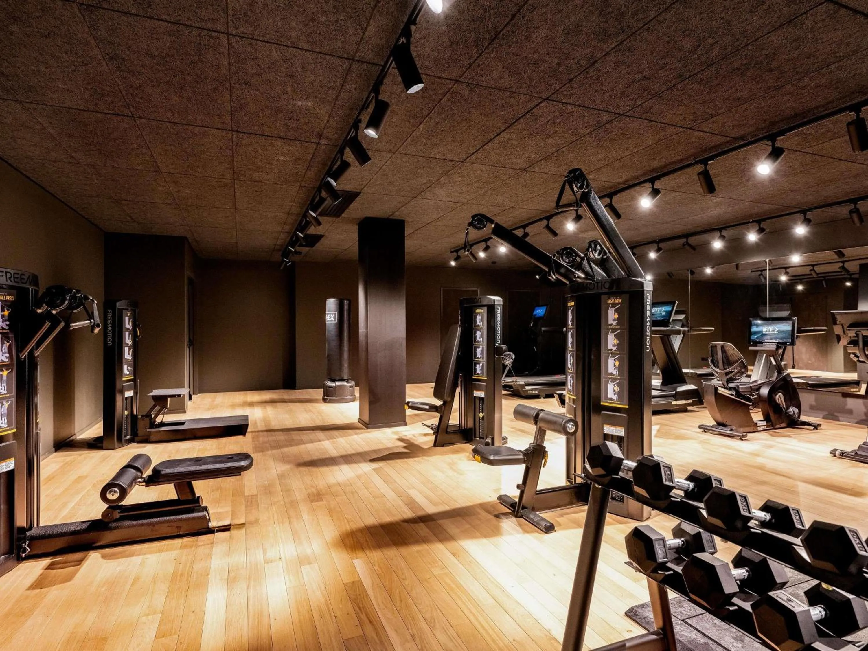 Fitness centre/facilities in Pullman Lyon