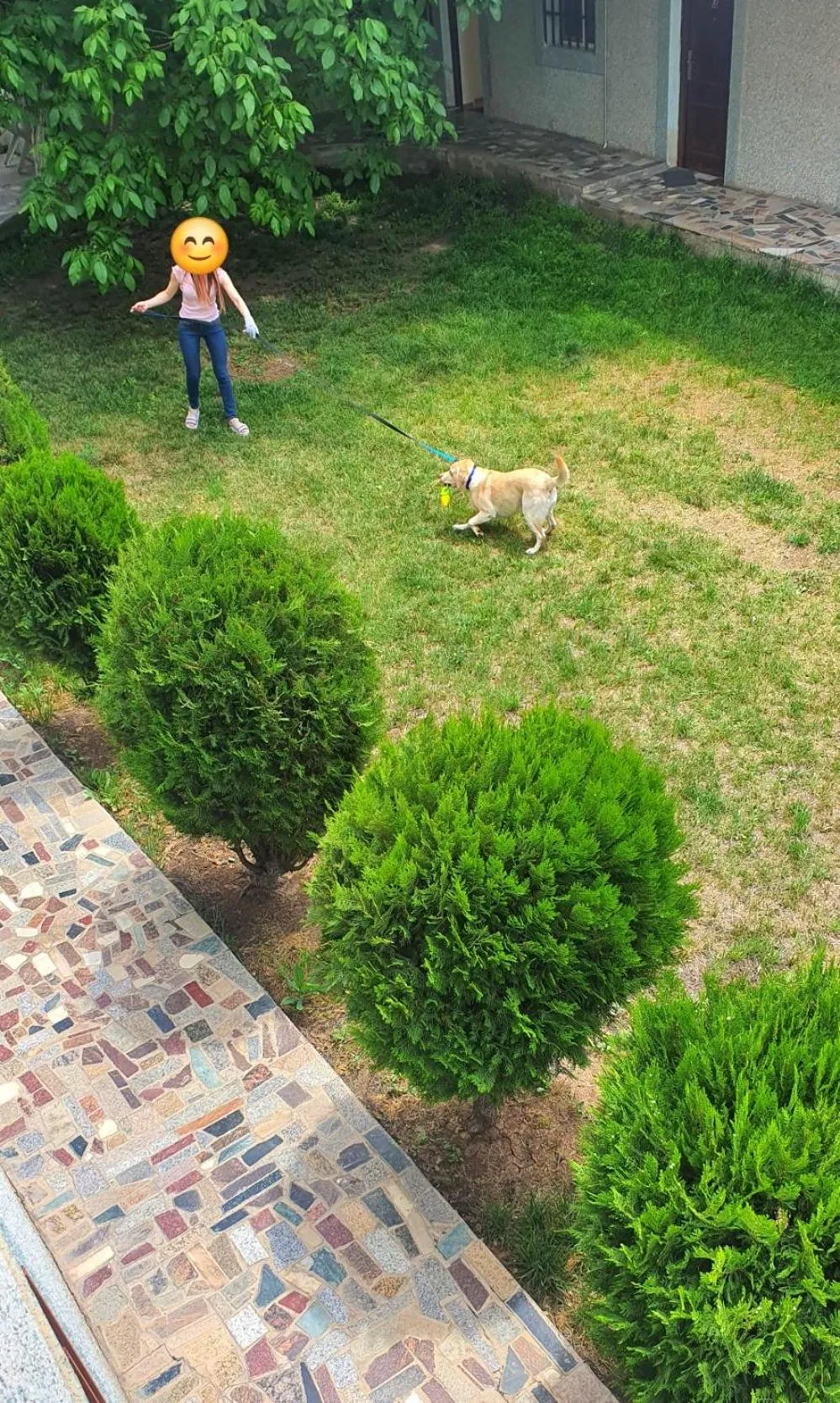 Garden in Kesabella Touristic House