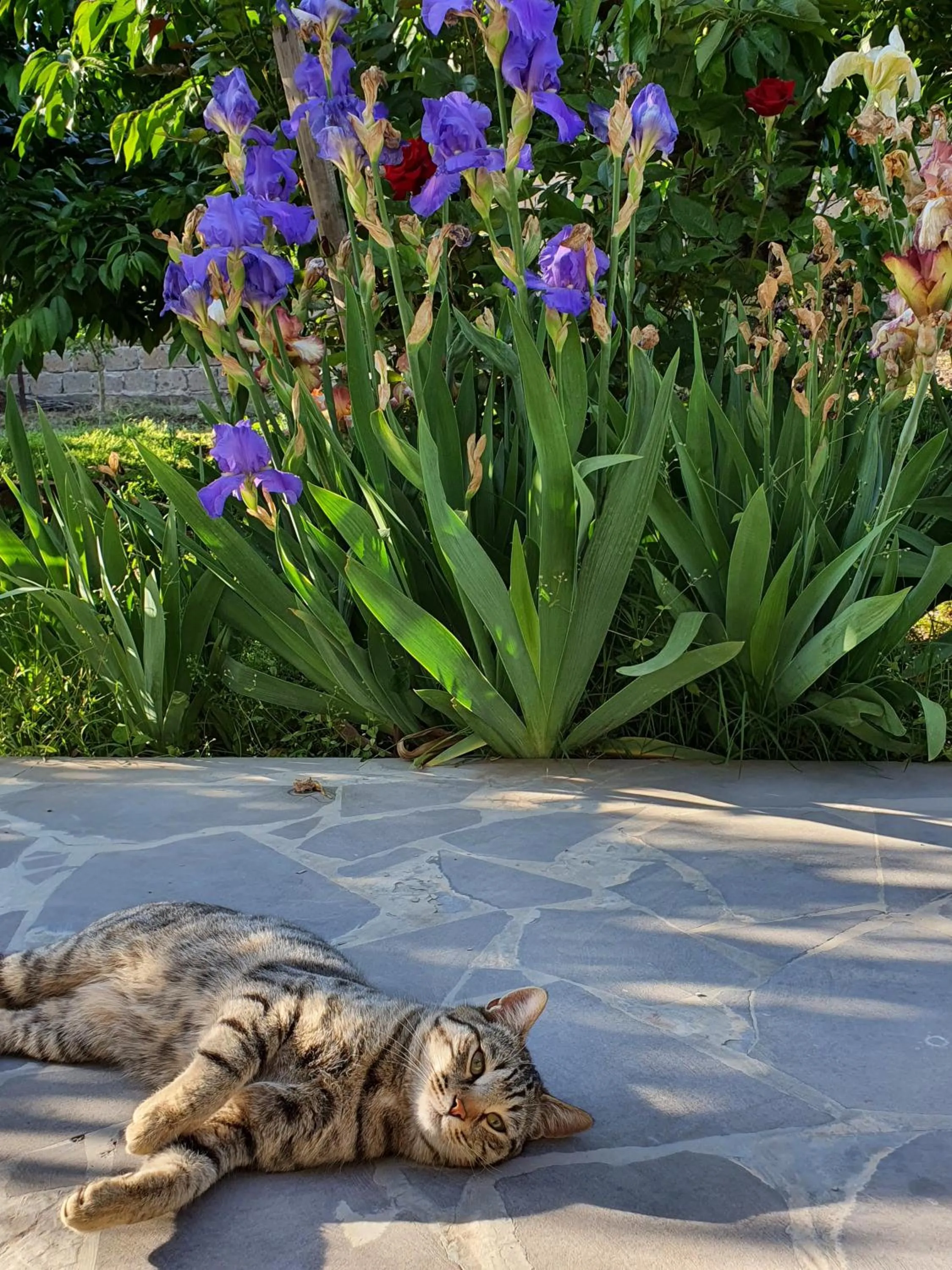 Day in Kesabella Touristic House