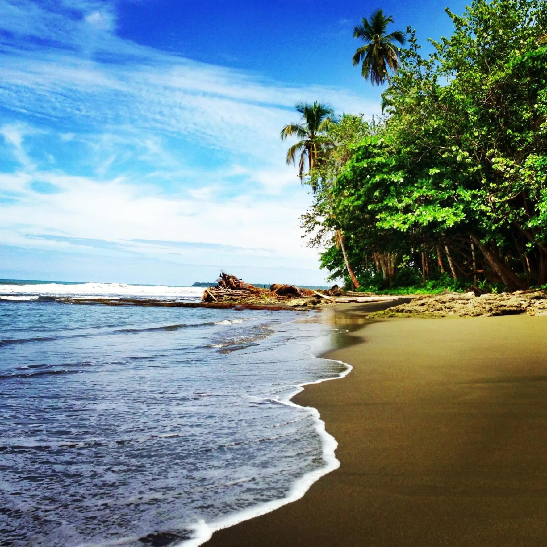 Beach in La Diosa Nature Lodge