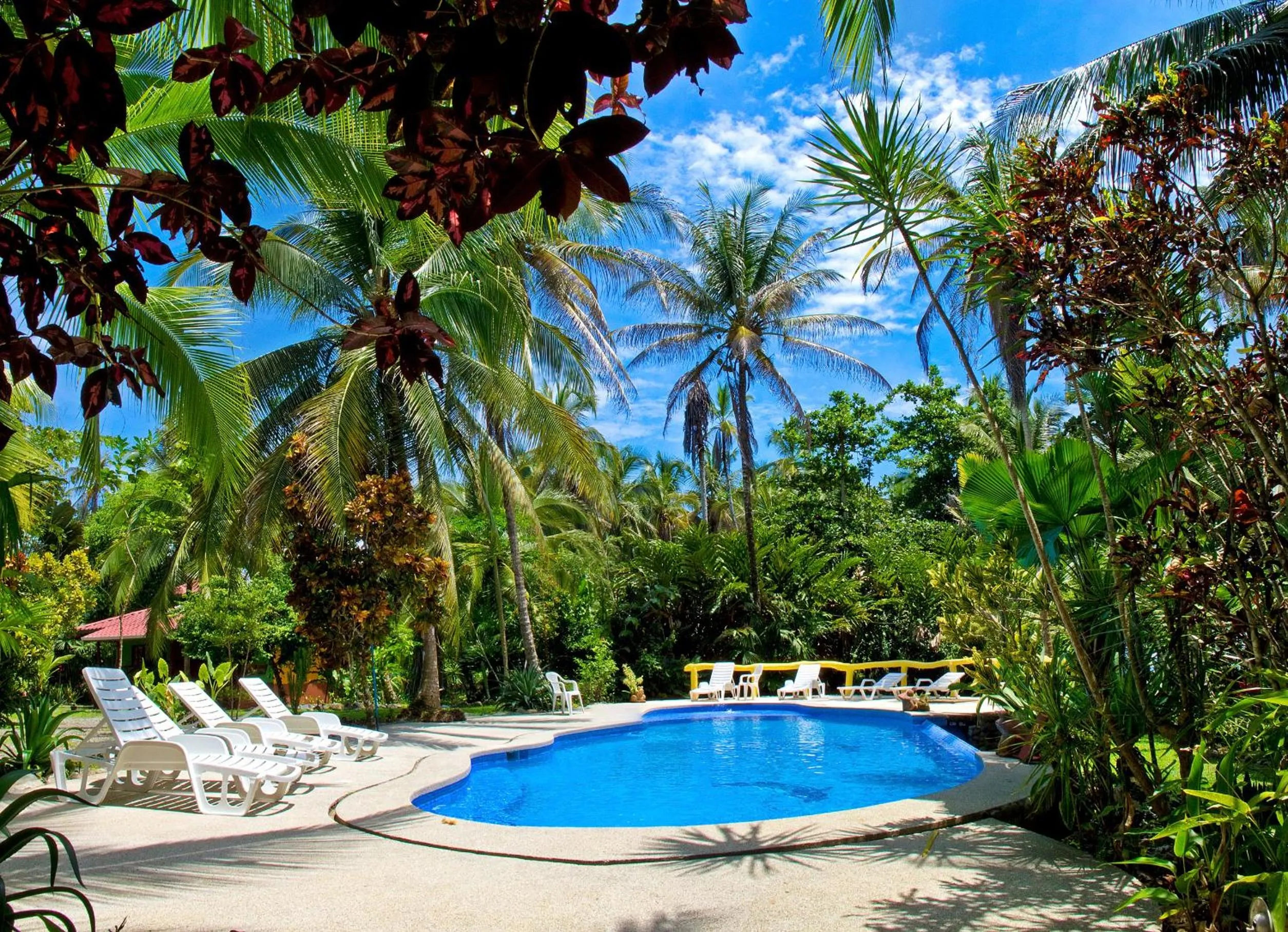 Swimming pool in La Diosa Nature Lodge