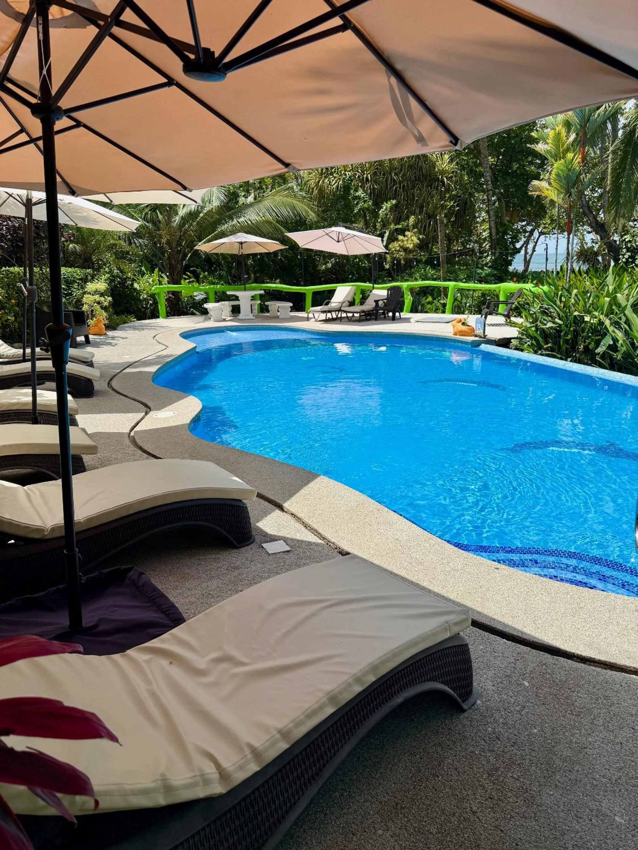 Swimming pool in La Diosa Nature Lodge