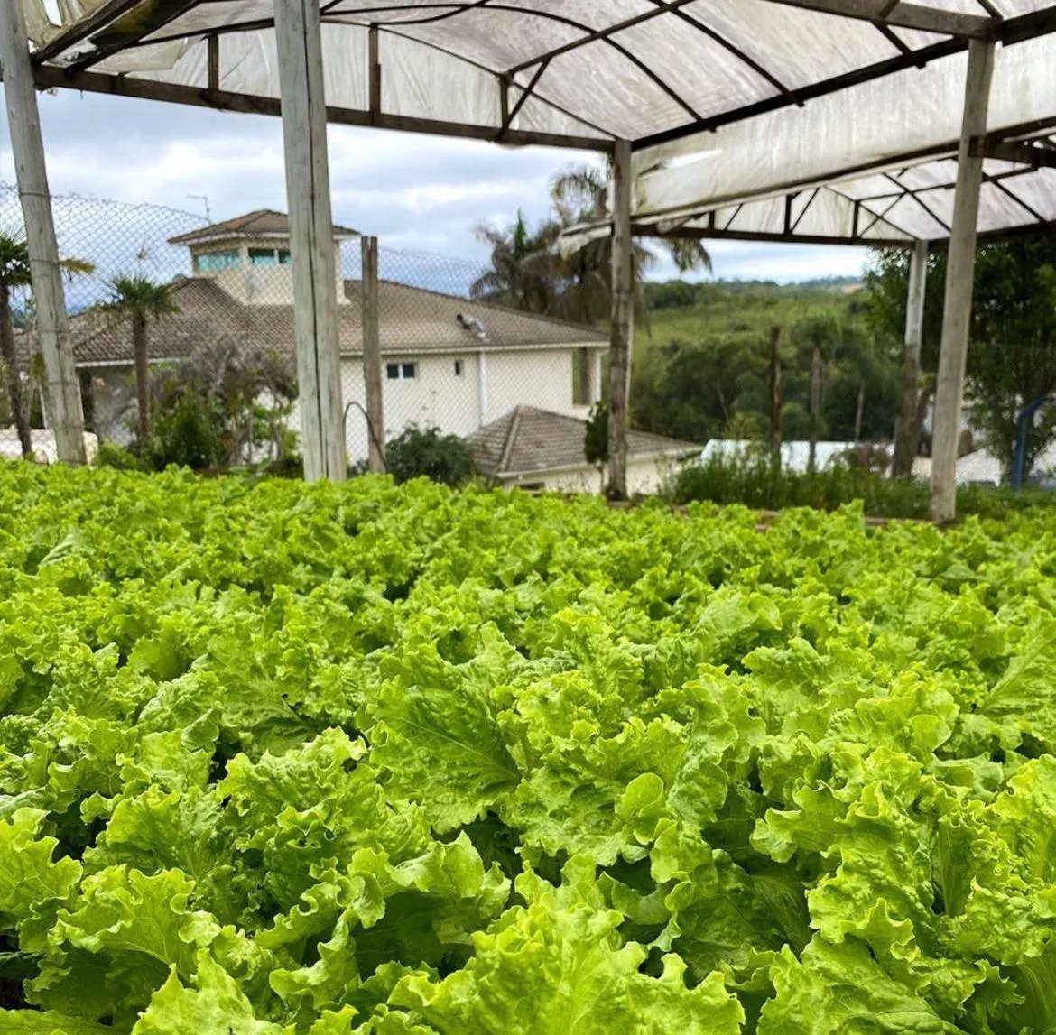 Paraty Hotel Fazenda & Spa