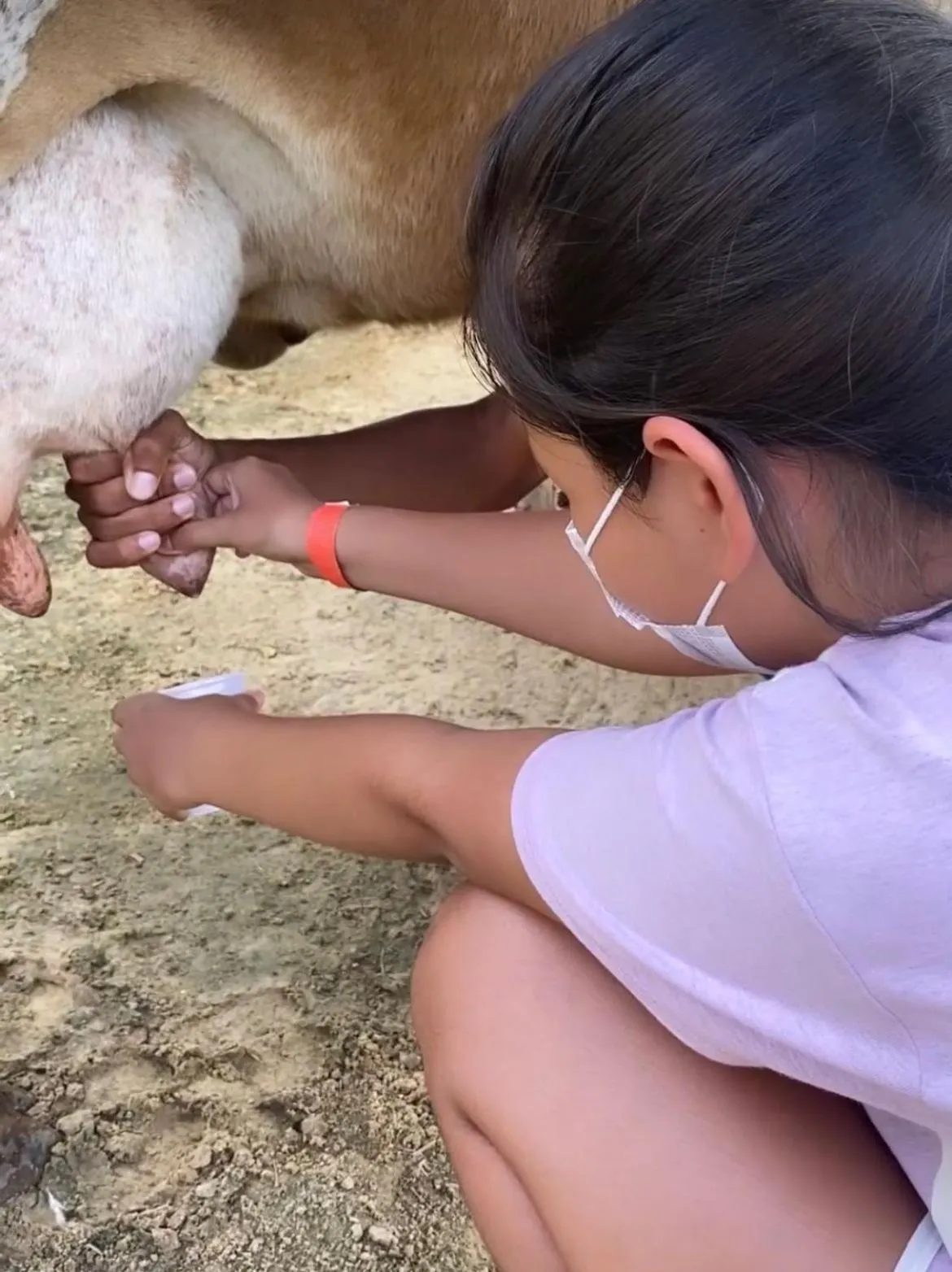 Paraty Hotel Fazenda & Spa