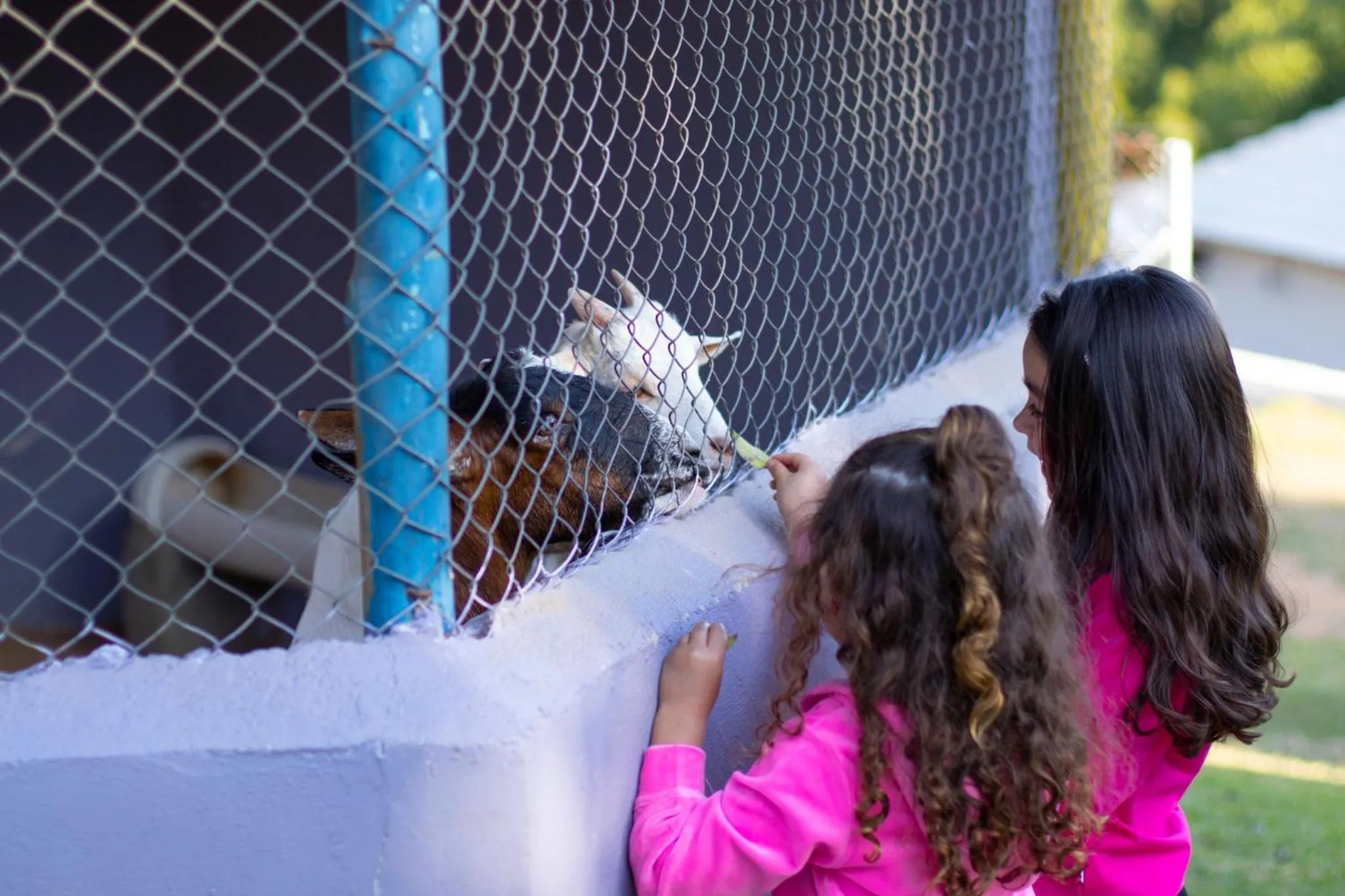 Paraty Hotel Fazenda & Spa