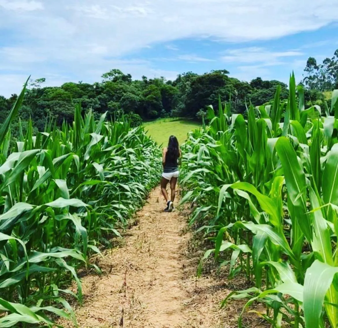 Paraty Hotel Fazenda & Spa