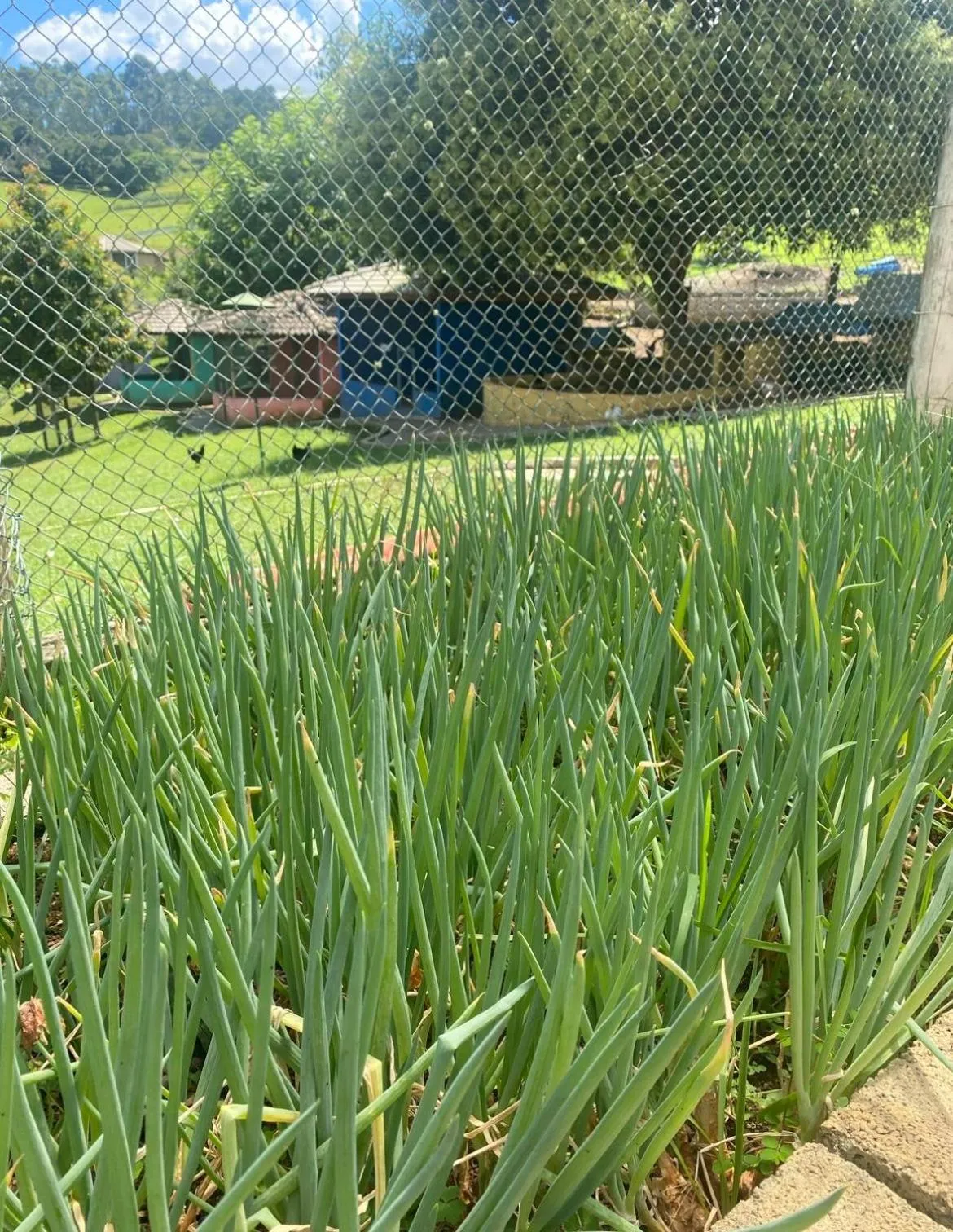 Paraty Hotel Fazenda & Spa