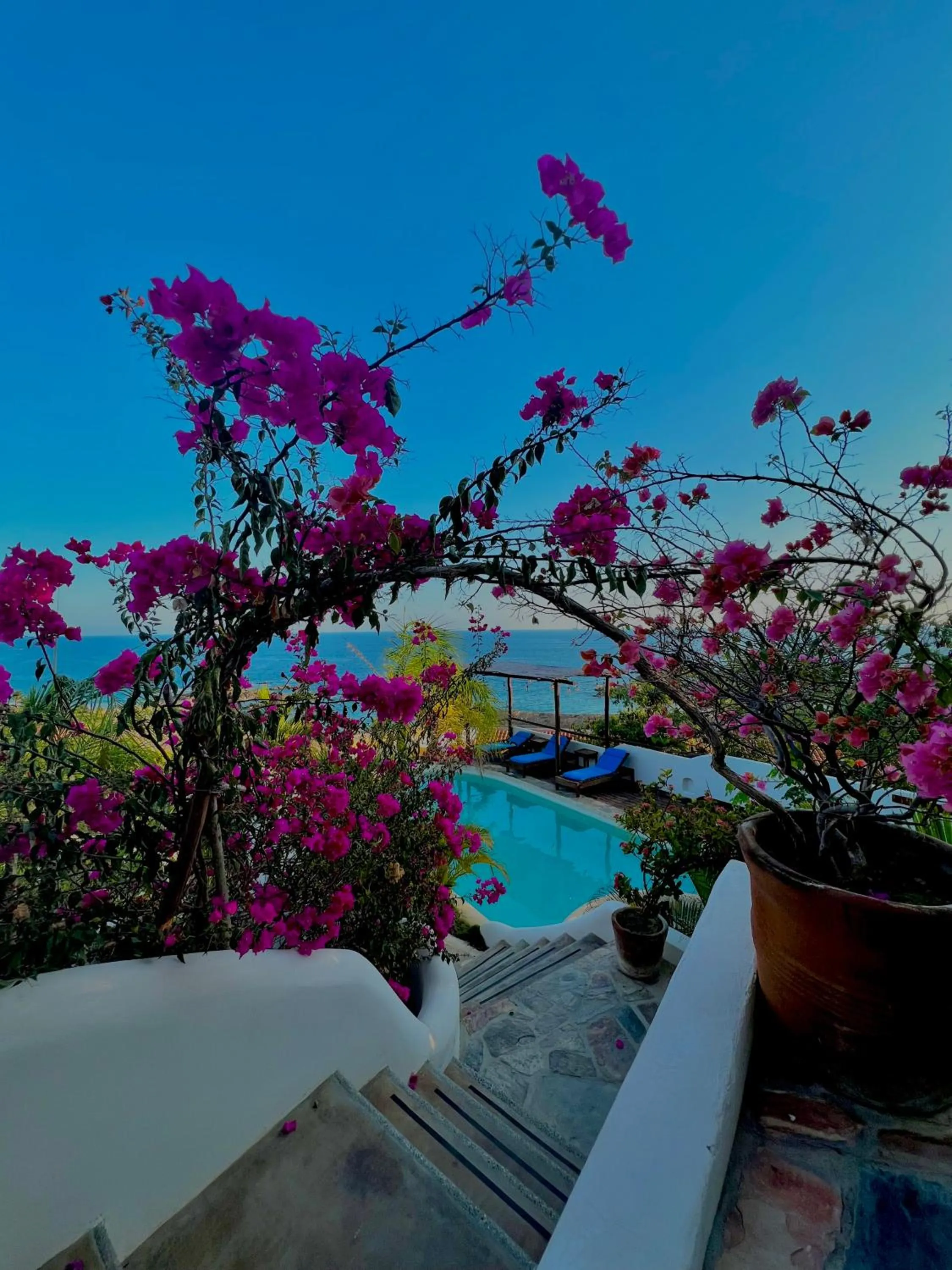 Natural landscape in Hotel Boutique casa la Malagueña