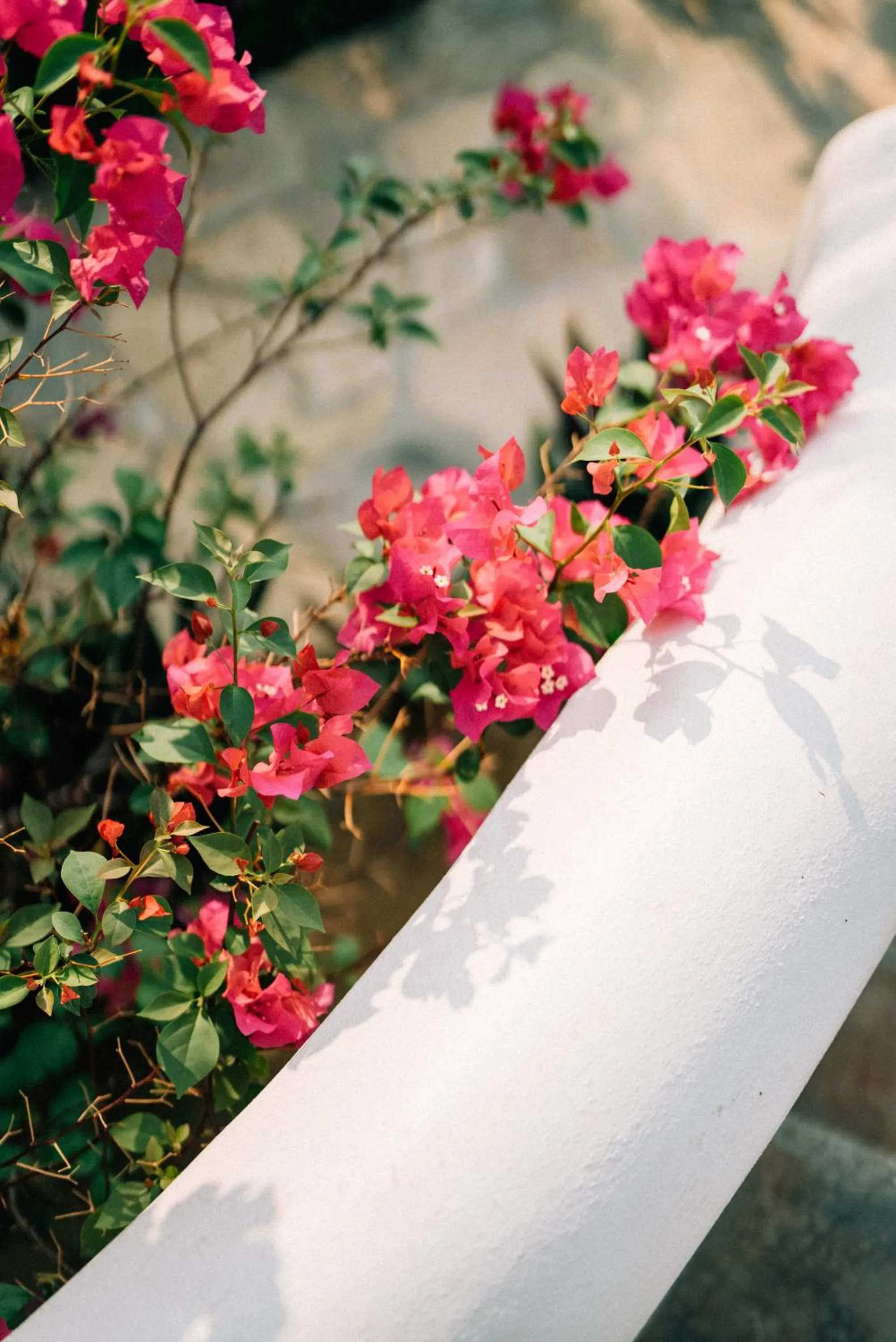 Hotel Boutique casa la Malagueña