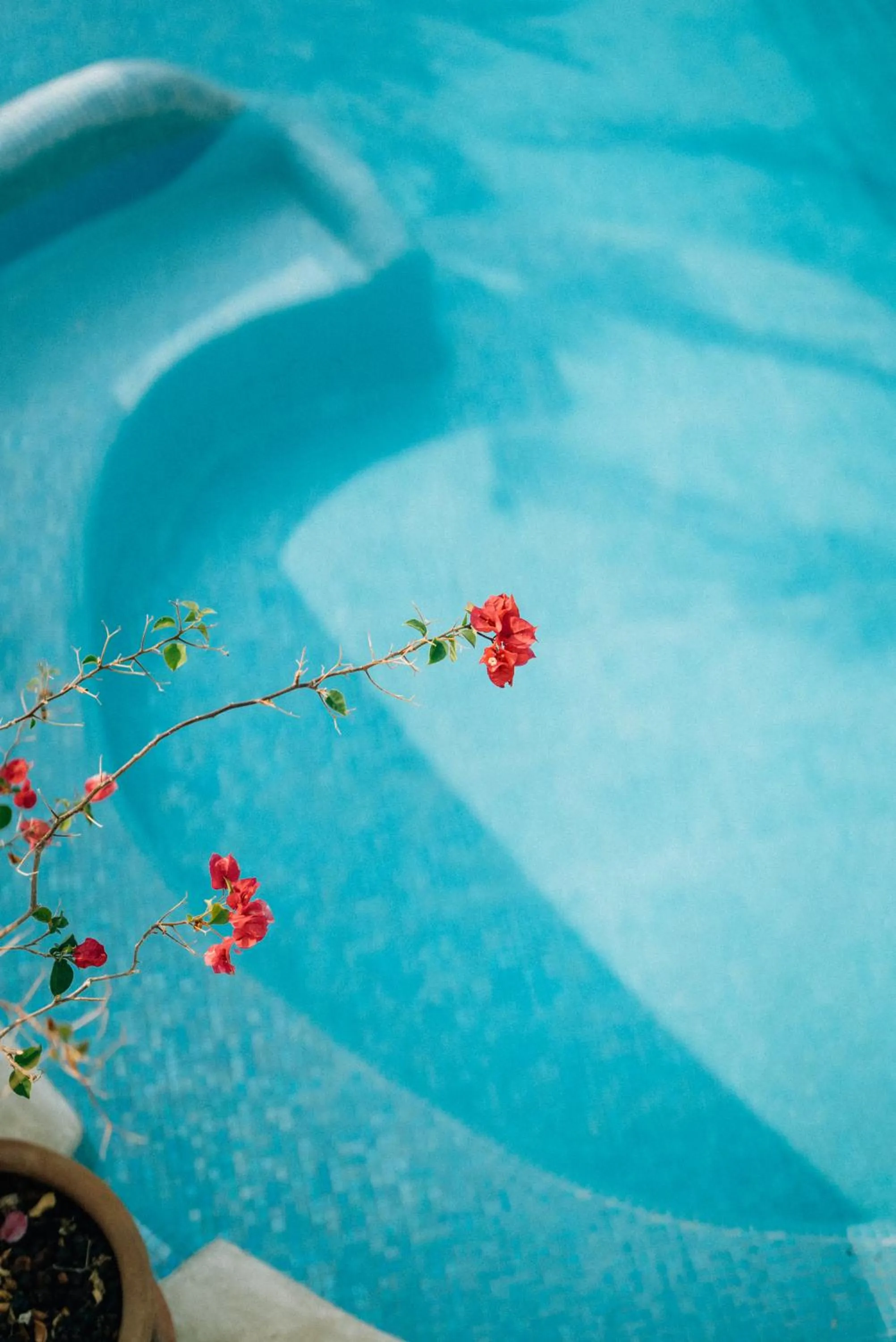 Hotel Boutique casa la Malagueña