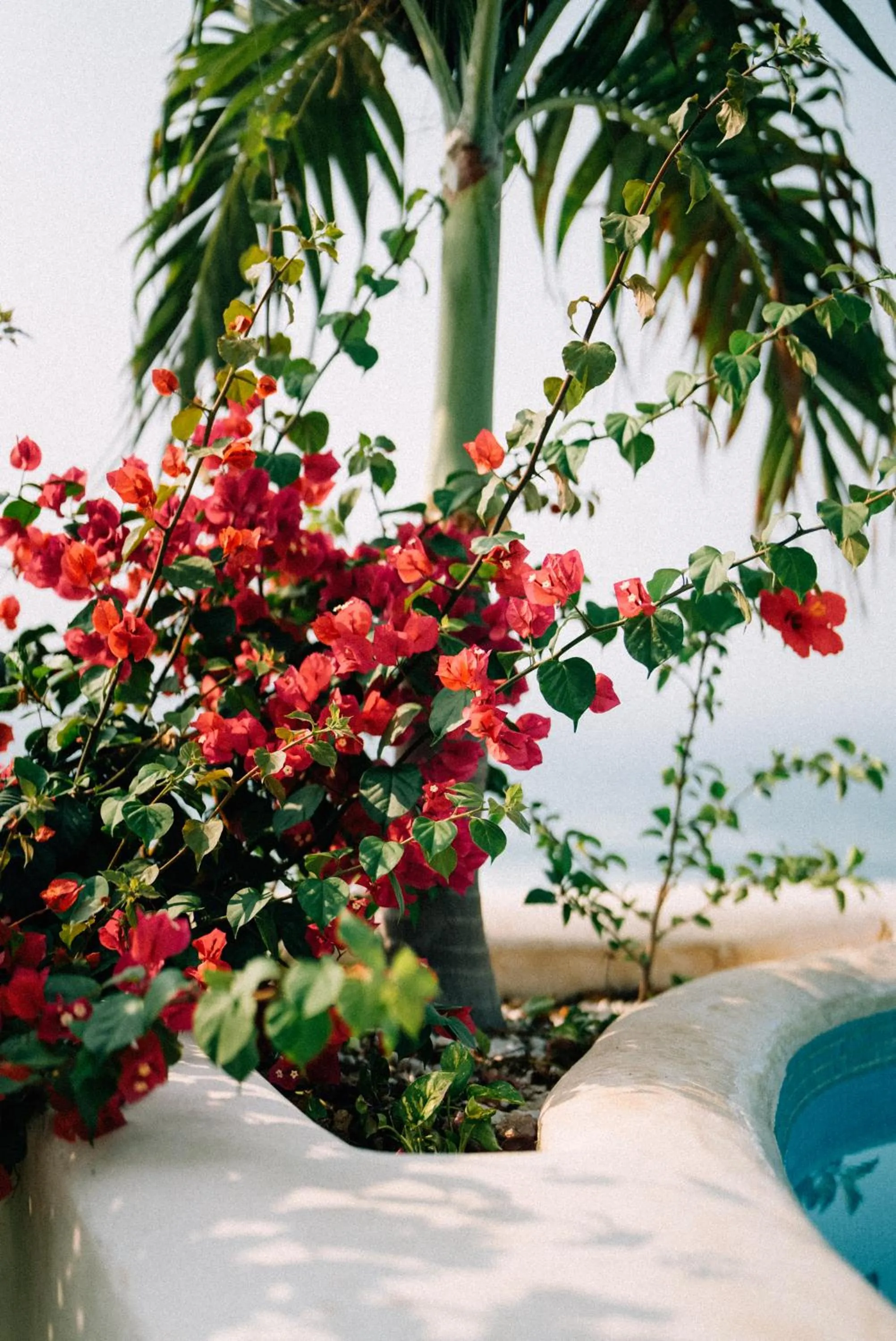 Hotel Boutique casa la Malagueña