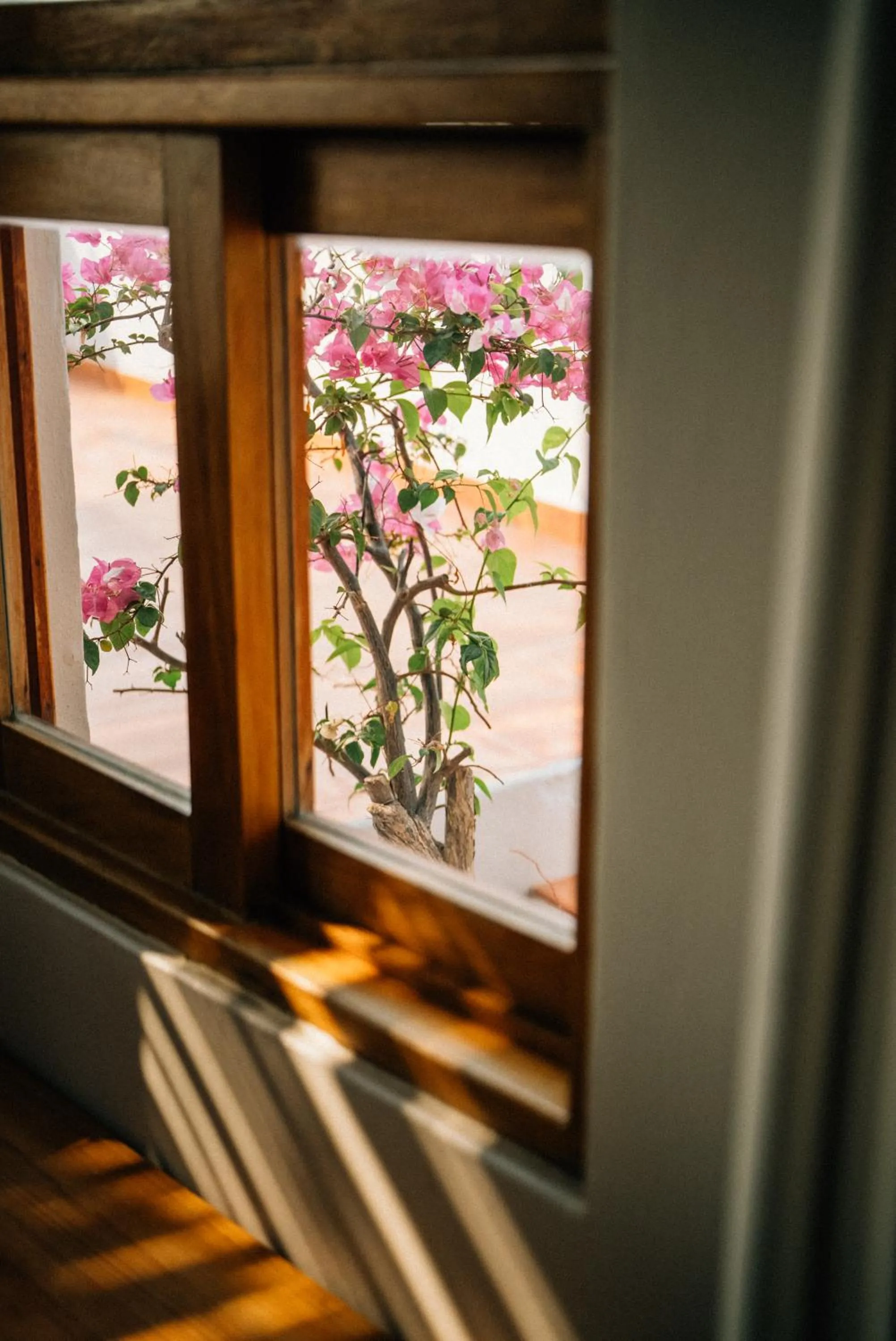 Hotel Boutique casa la Malagueña