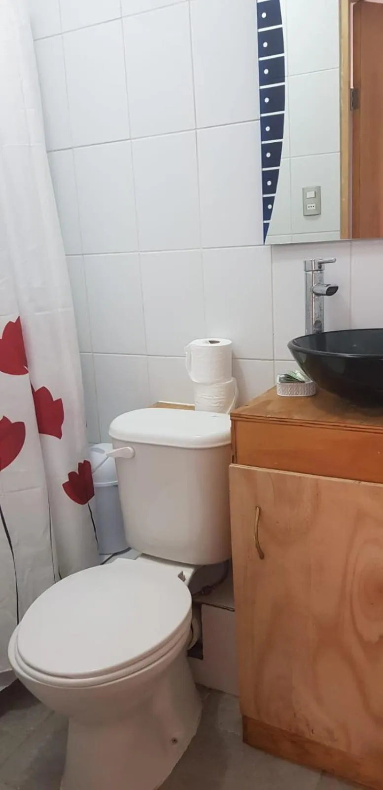 Toilet in Strandvagen Maitencillo