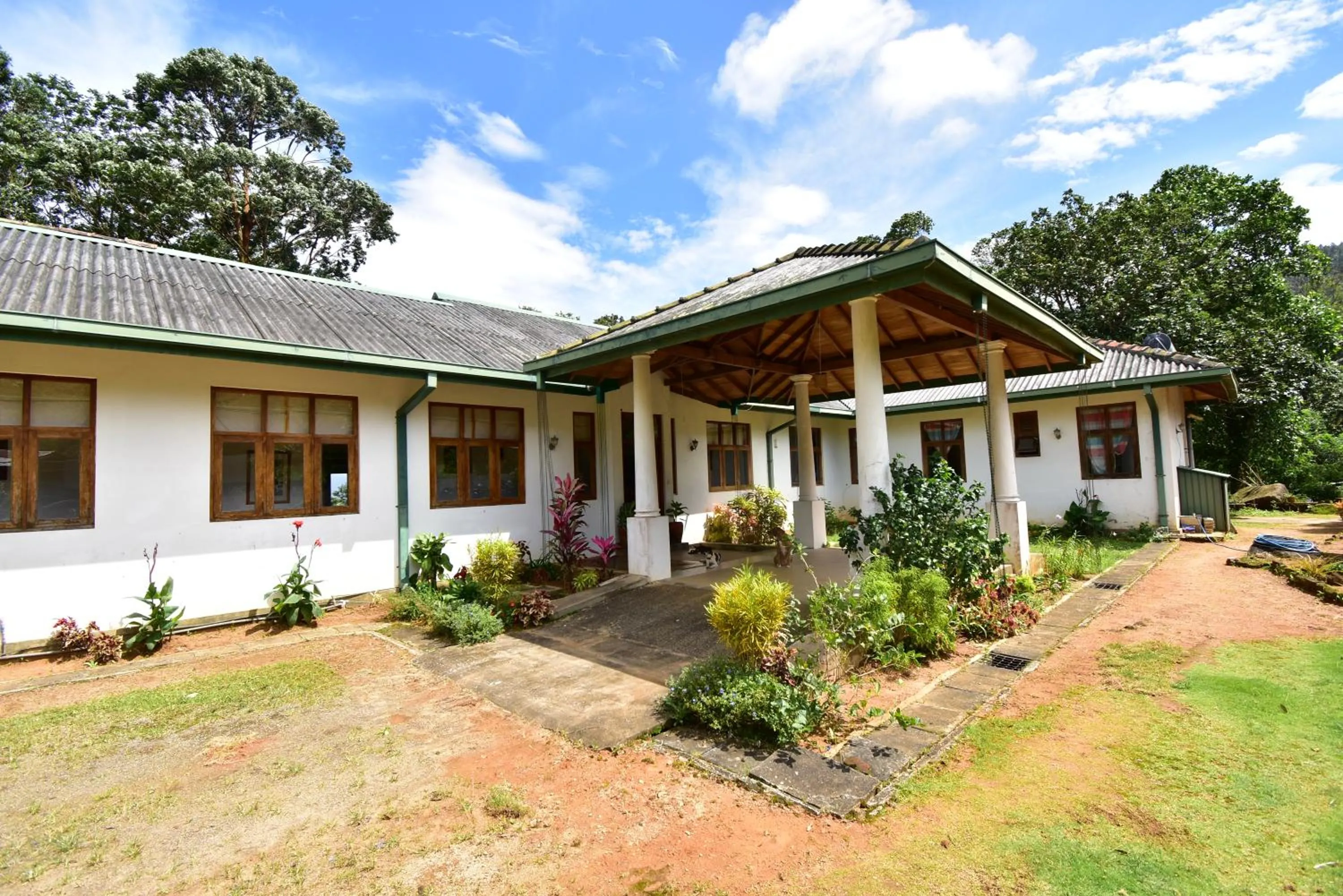 Property building in Jungle Tide