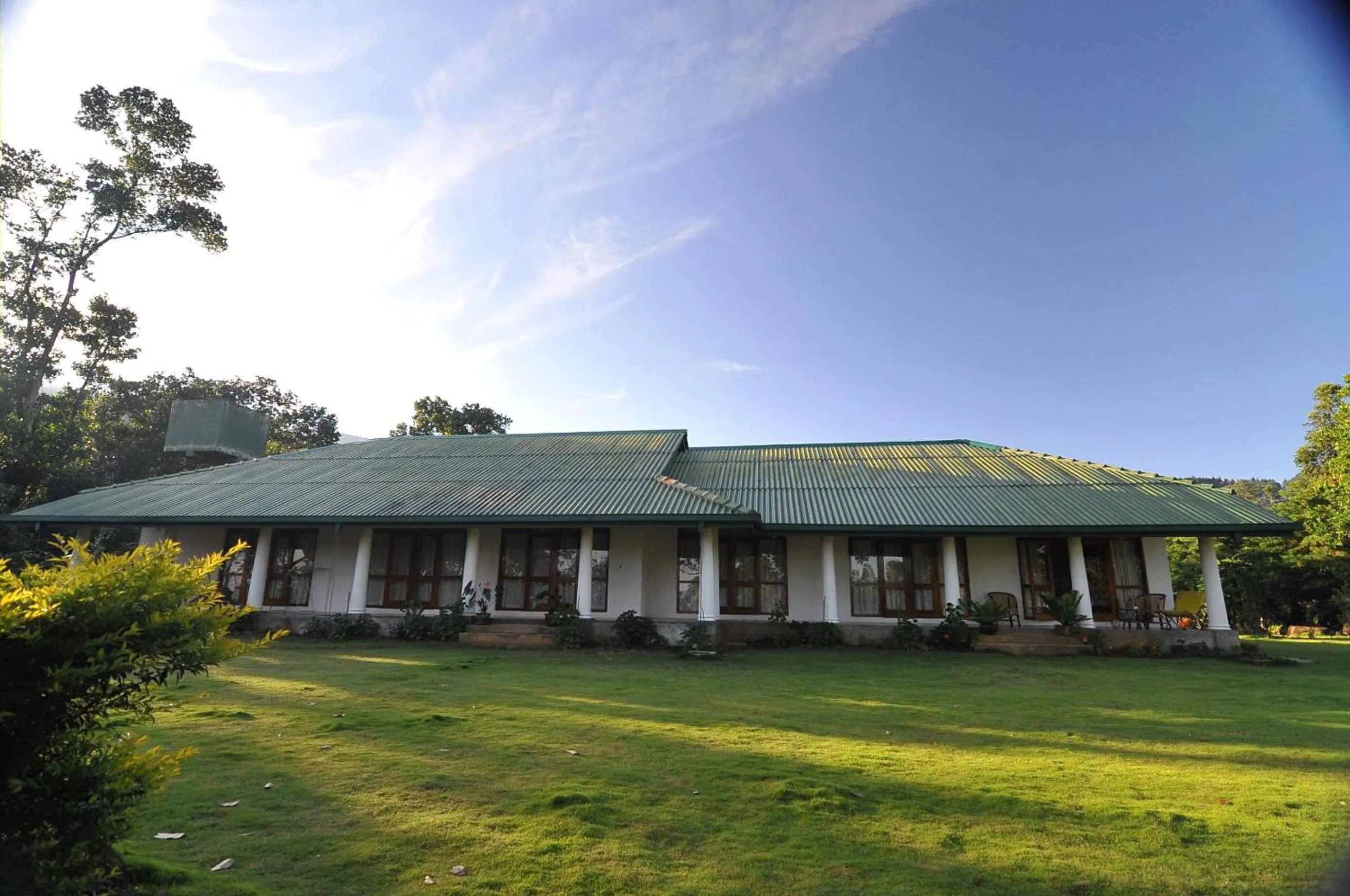 Property building in Jungle Tide