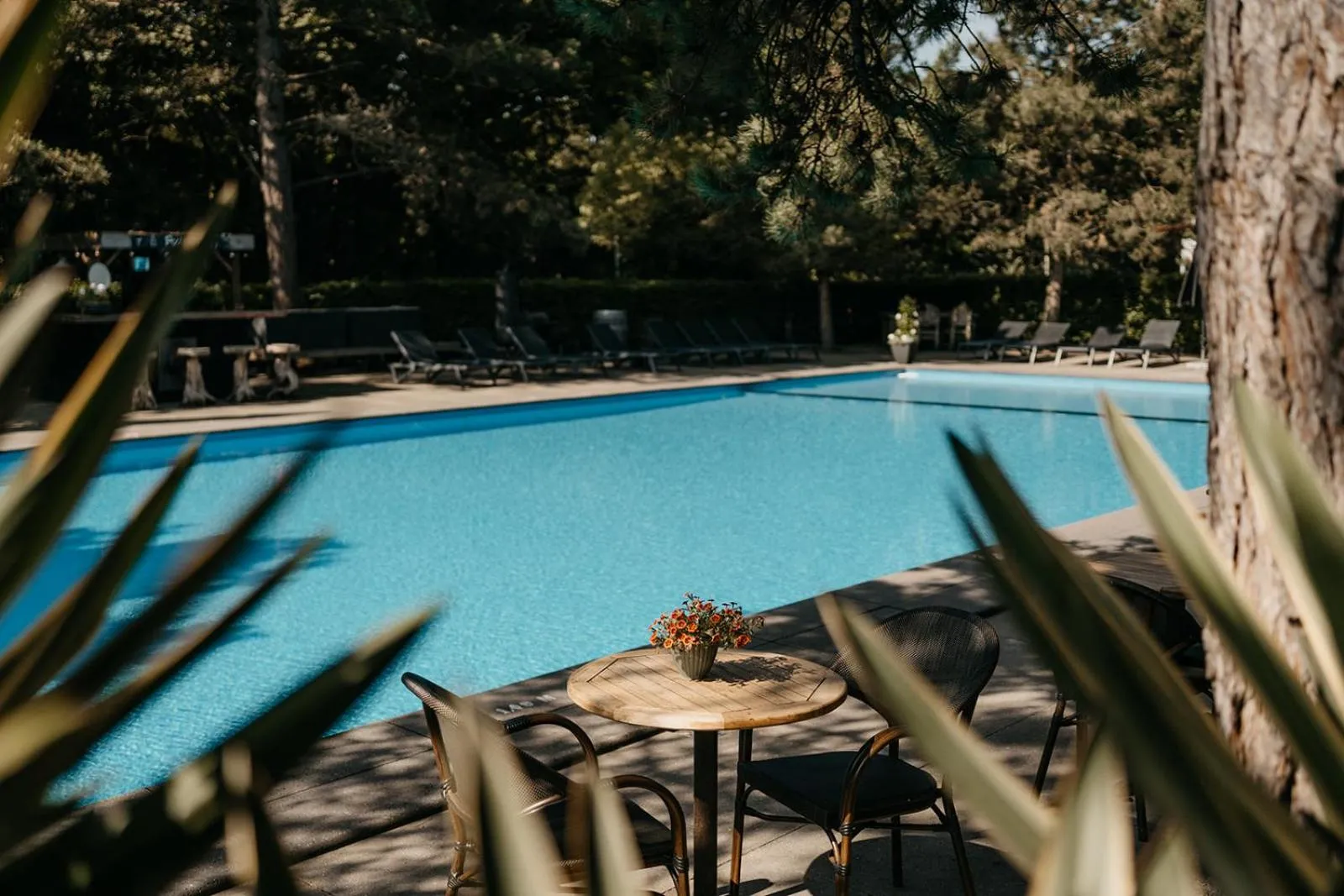 Swimming pool in Badhotel Rockanje
