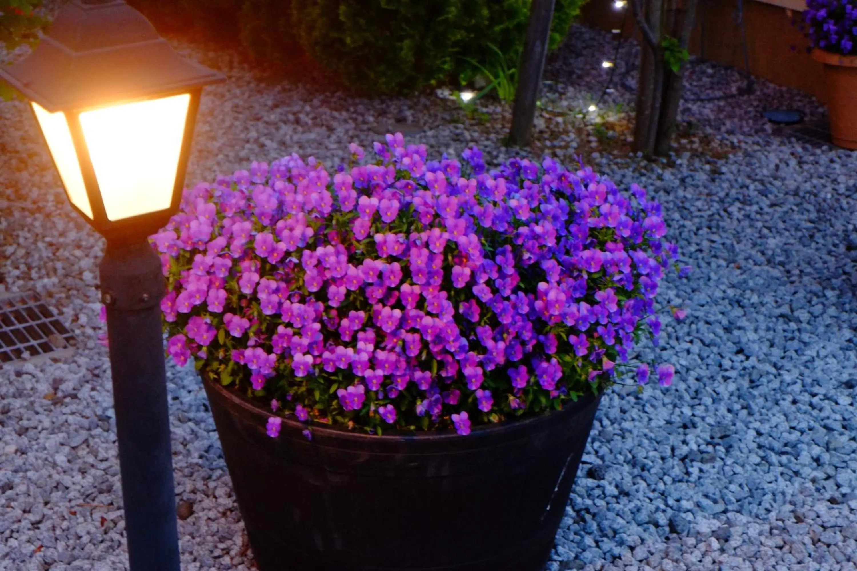 Garden in Villa Ensoleille