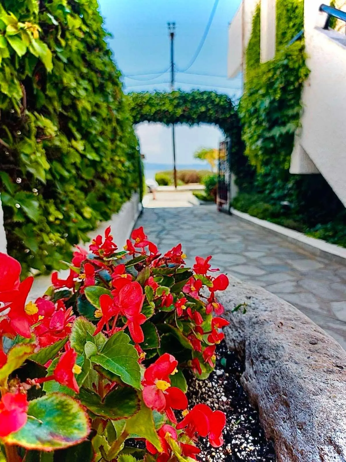 Garden in Argo Apartments