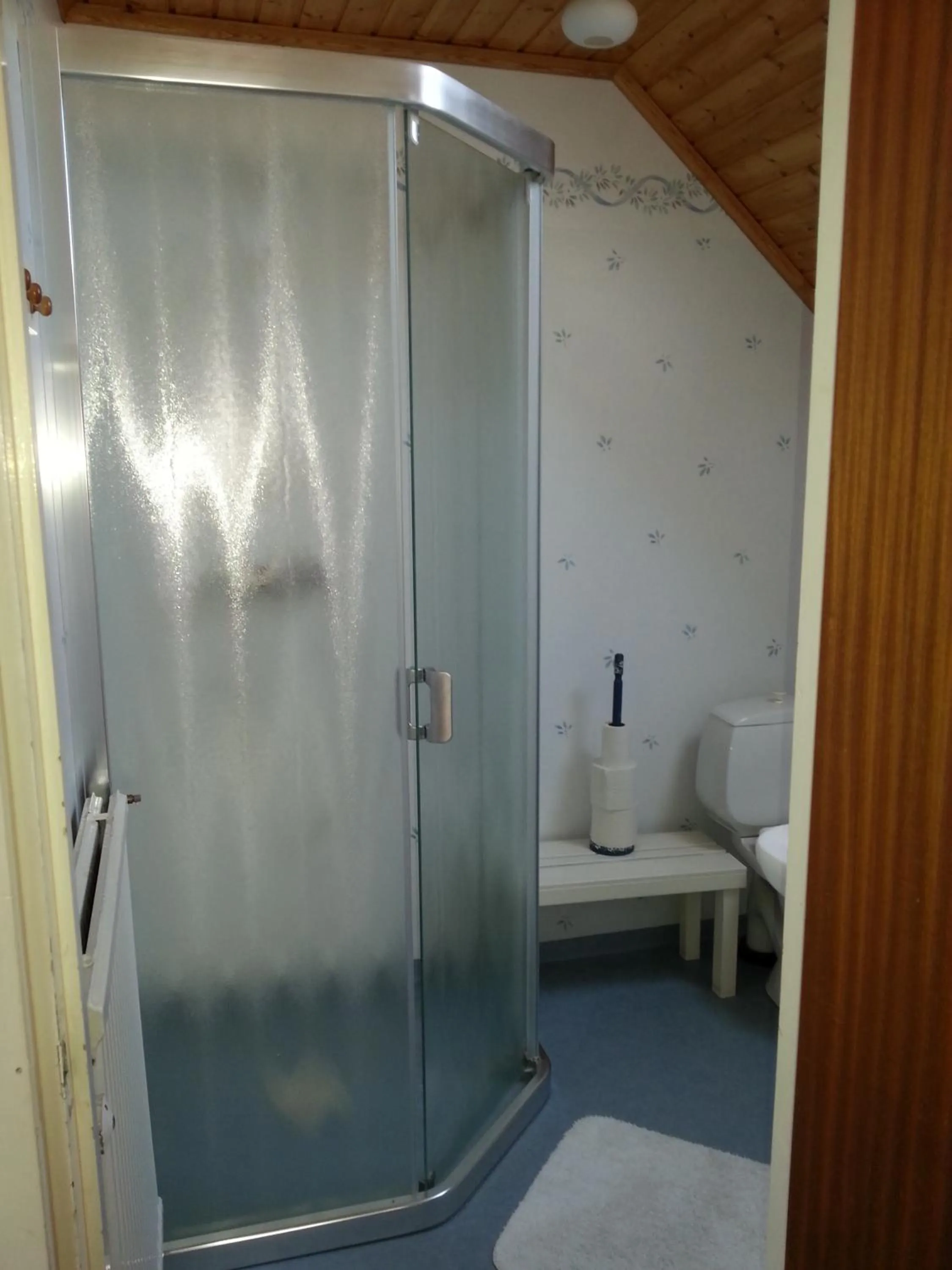 Shower in Joastorps Bed & Breakfast