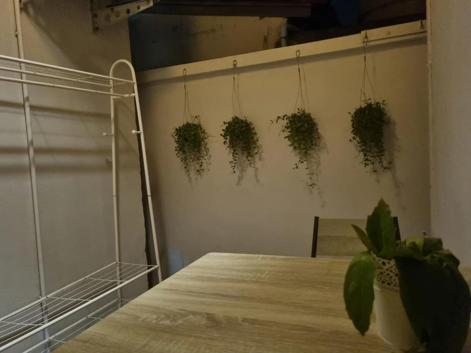 Patio, Bed in New Breakers Hotel Rawai