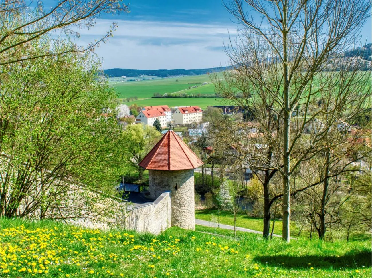 Garden in Schloss Geisa