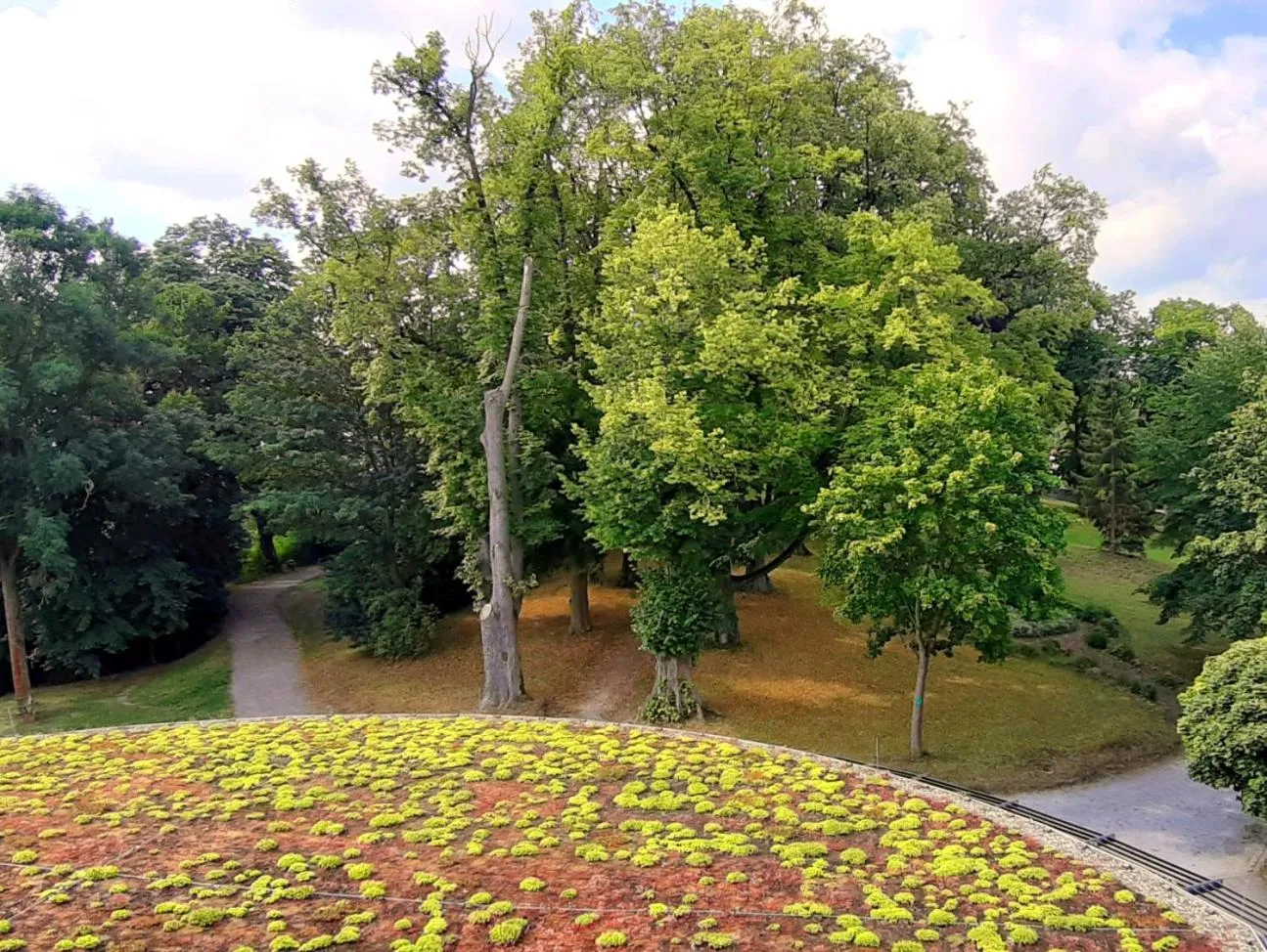 Garden view in Schloss Geisa
