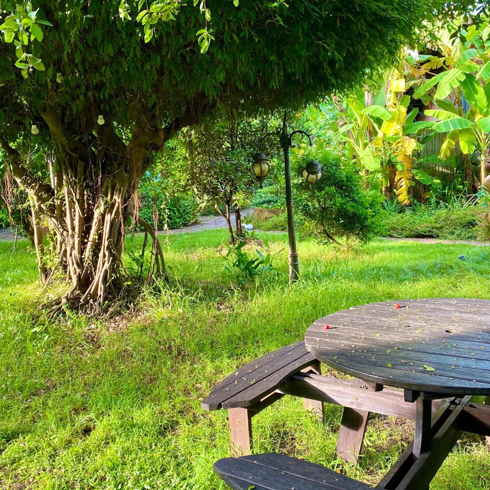 Natural landscape in The Ruong Resort