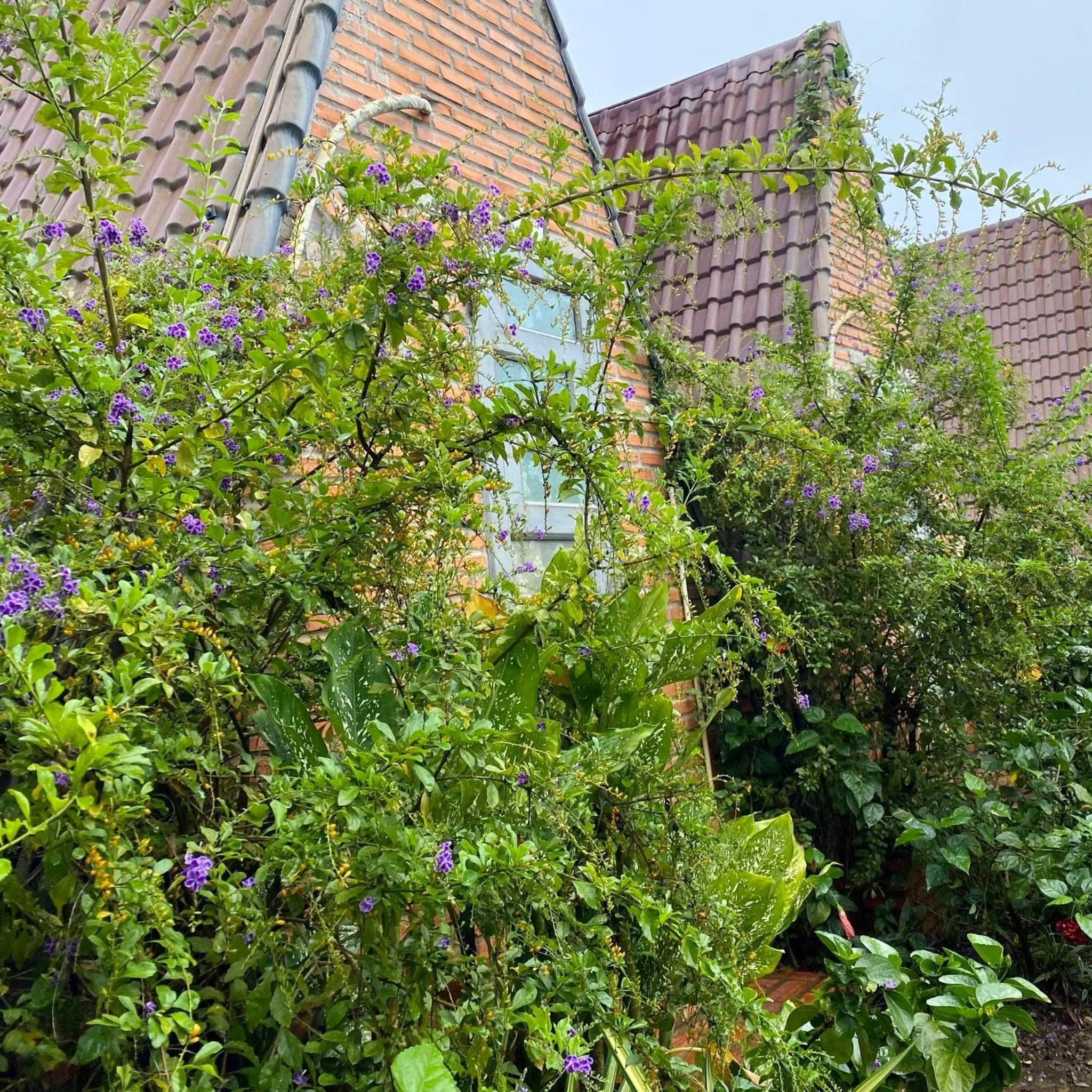 Day in The Ruong Resort