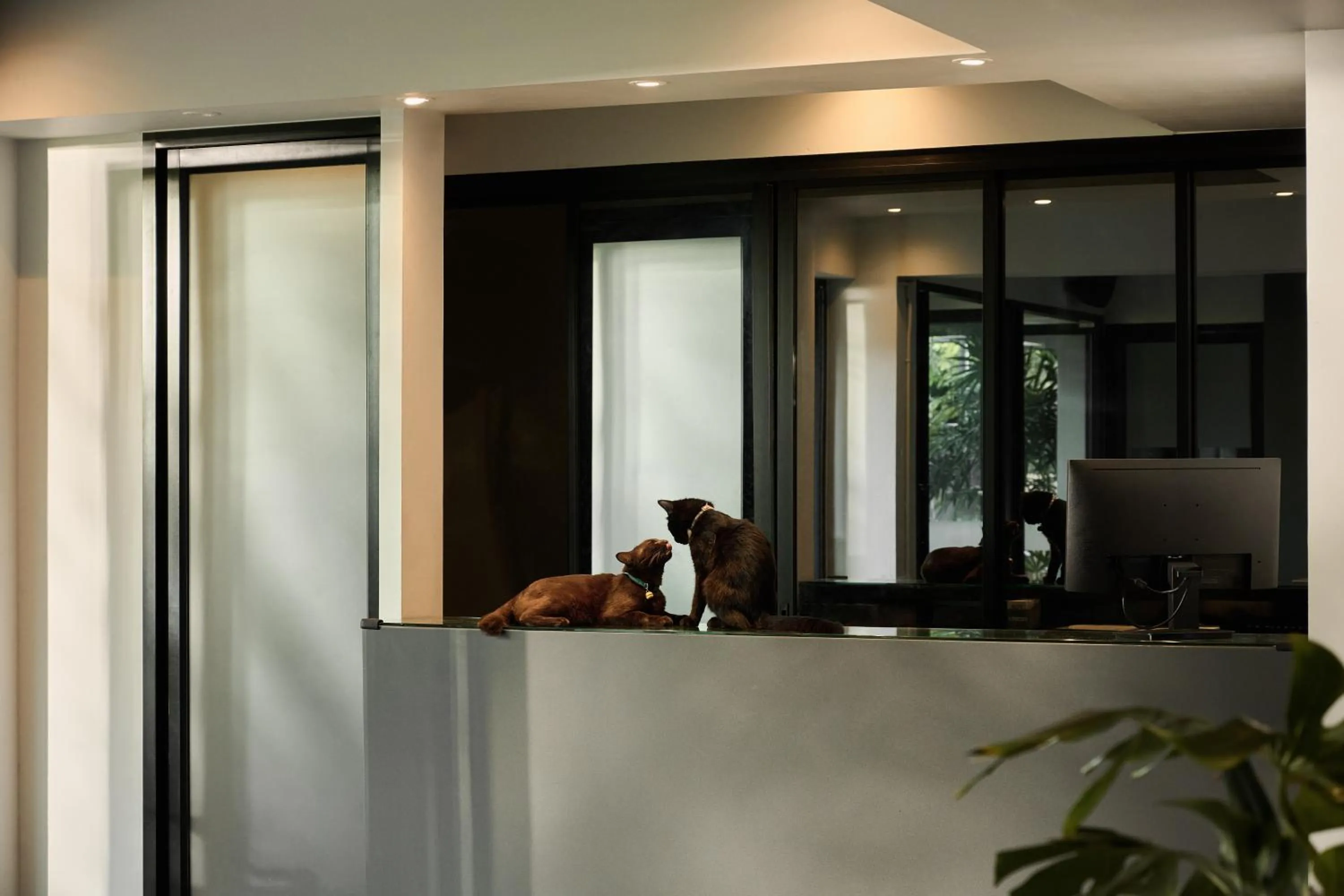 Lobby or reception in POR Arak