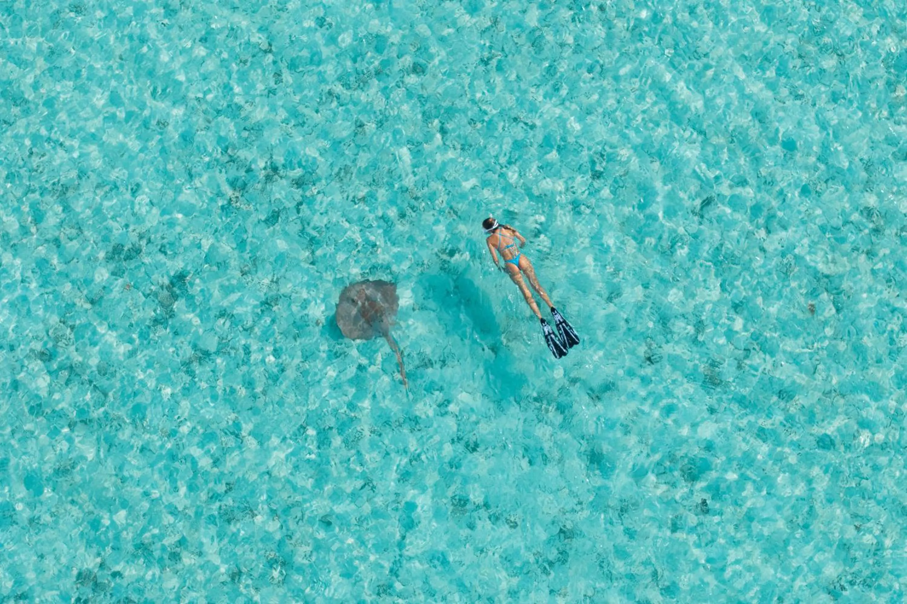 Activities in SO/ Maldives