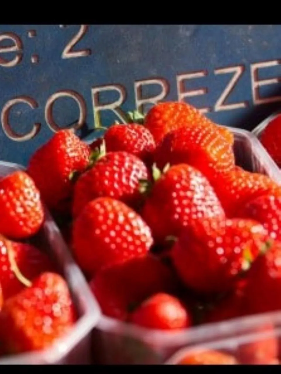 Food close-up in Le Parc des 4 Saisons